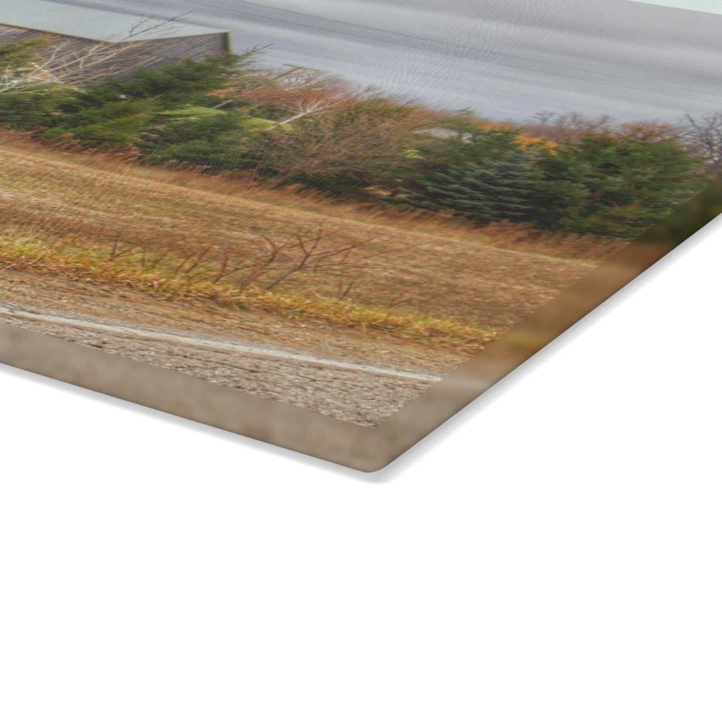 U R There Photography Burnside Grey Rustic Farmhouse Tempered-Glass Cutting Board