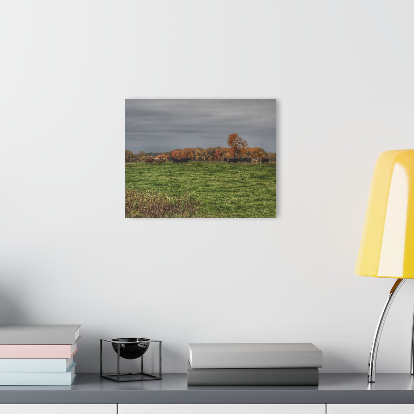 U R There Photography Oak Cows Rustic Farmhouse Acrylic Wall Print