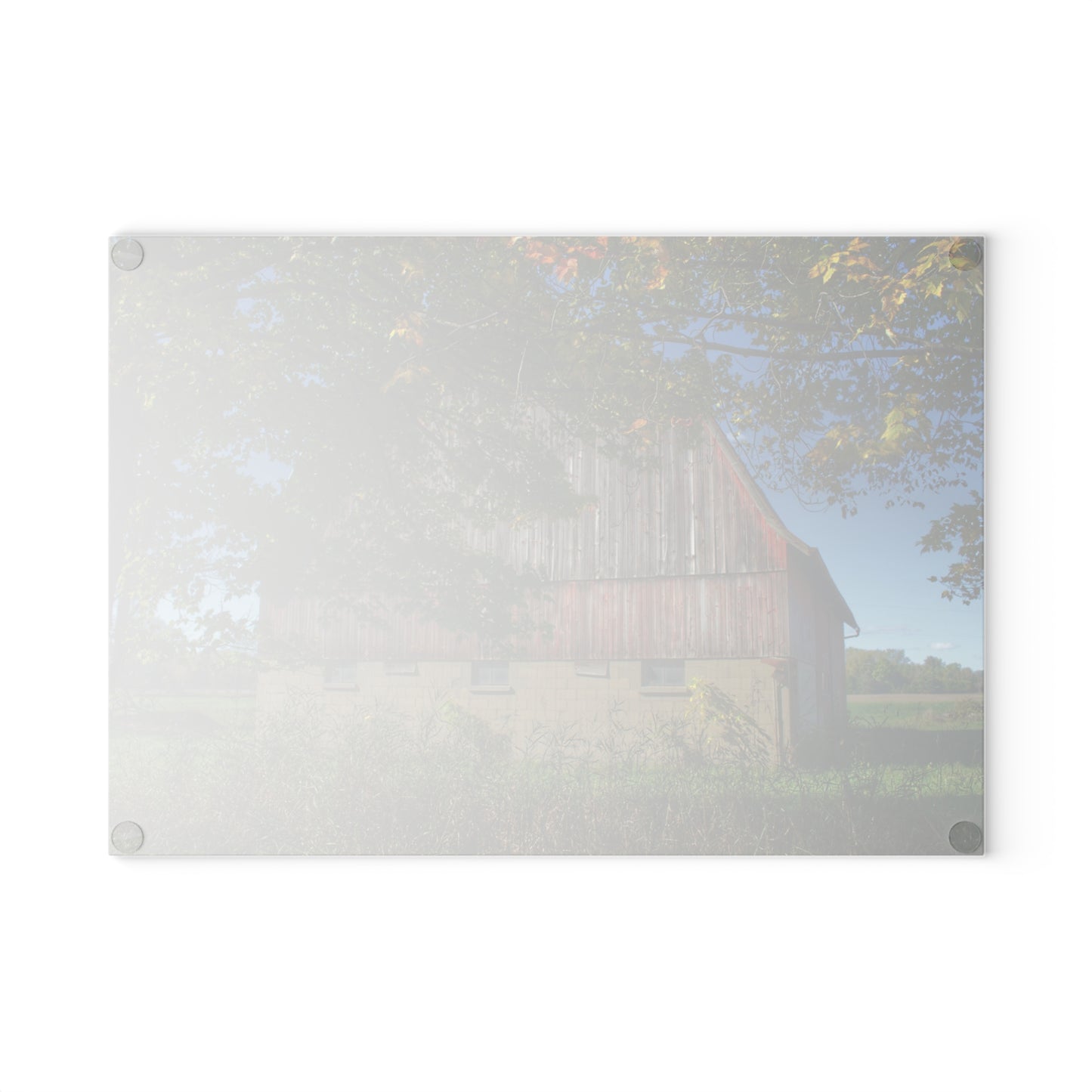 U R There Photography Byington Road Red I Rustic Farmhouse Tempered-Glass Cutting Board