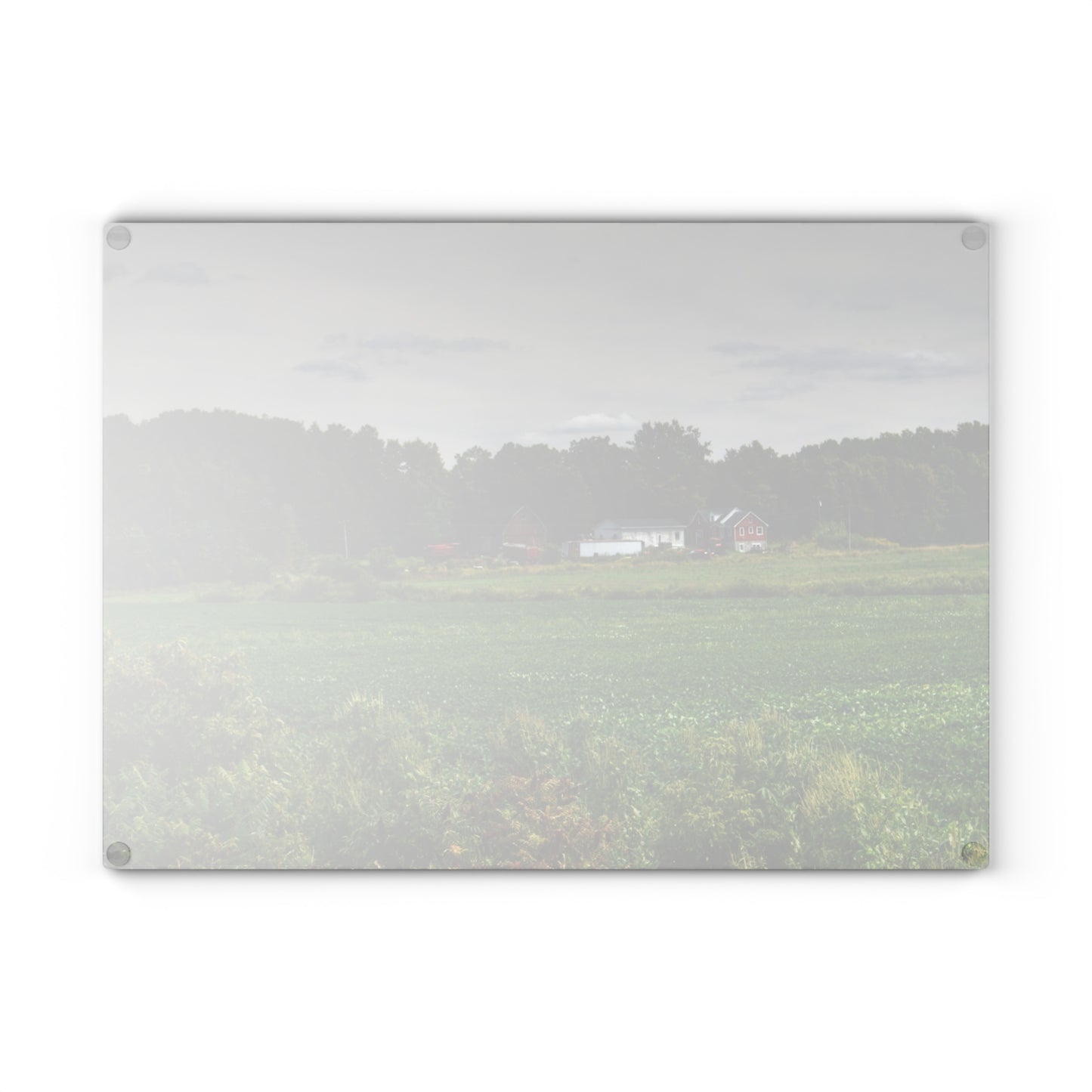 U R There Photography Across the Field in Silverwood Rustic Farmhouse Tempered-Glass Cutting Board