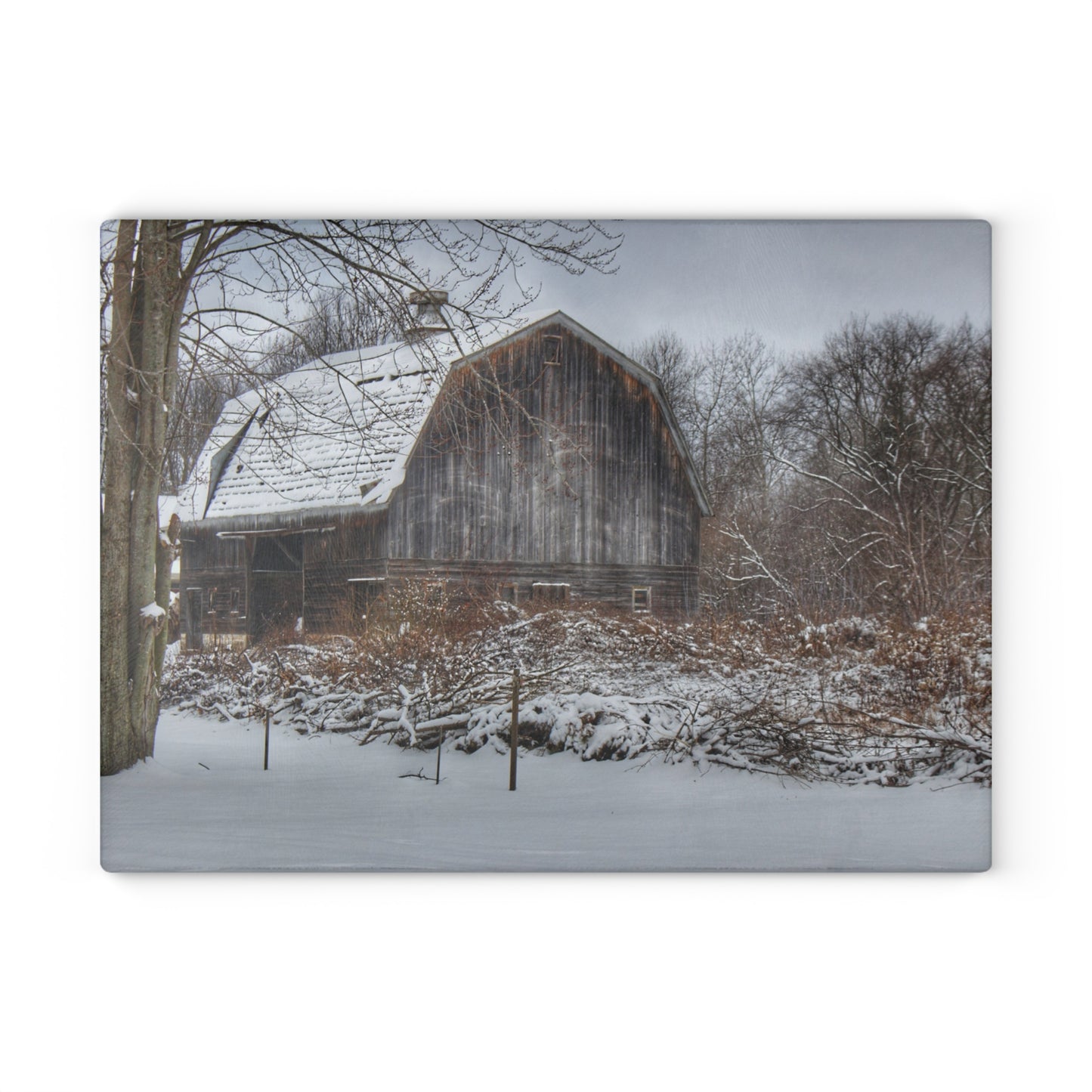 U R There Photography Vassar Road Hidden Grey in Winter Rustic Farmhouse Tempered-Glass Cutting Board