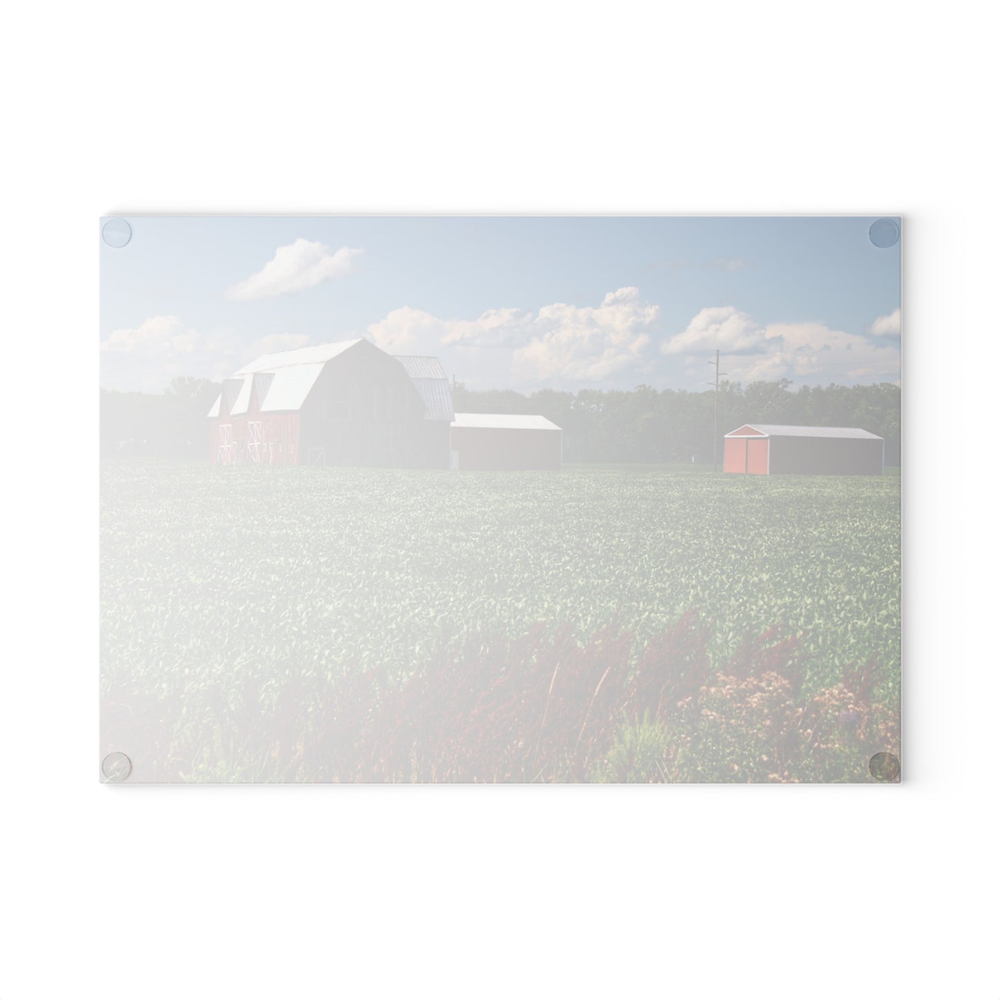 U R There Photography South Gera Road Red Rustic Farmhouse Tempered-Glass Cutting Board
