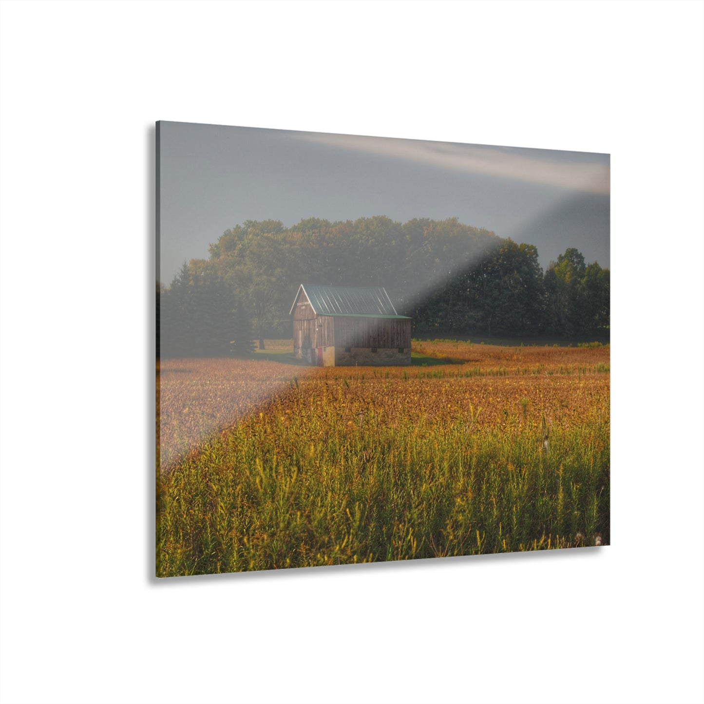 U R There Photography Snover Grey I Rustic Farmhouse Acrylic Wall Print