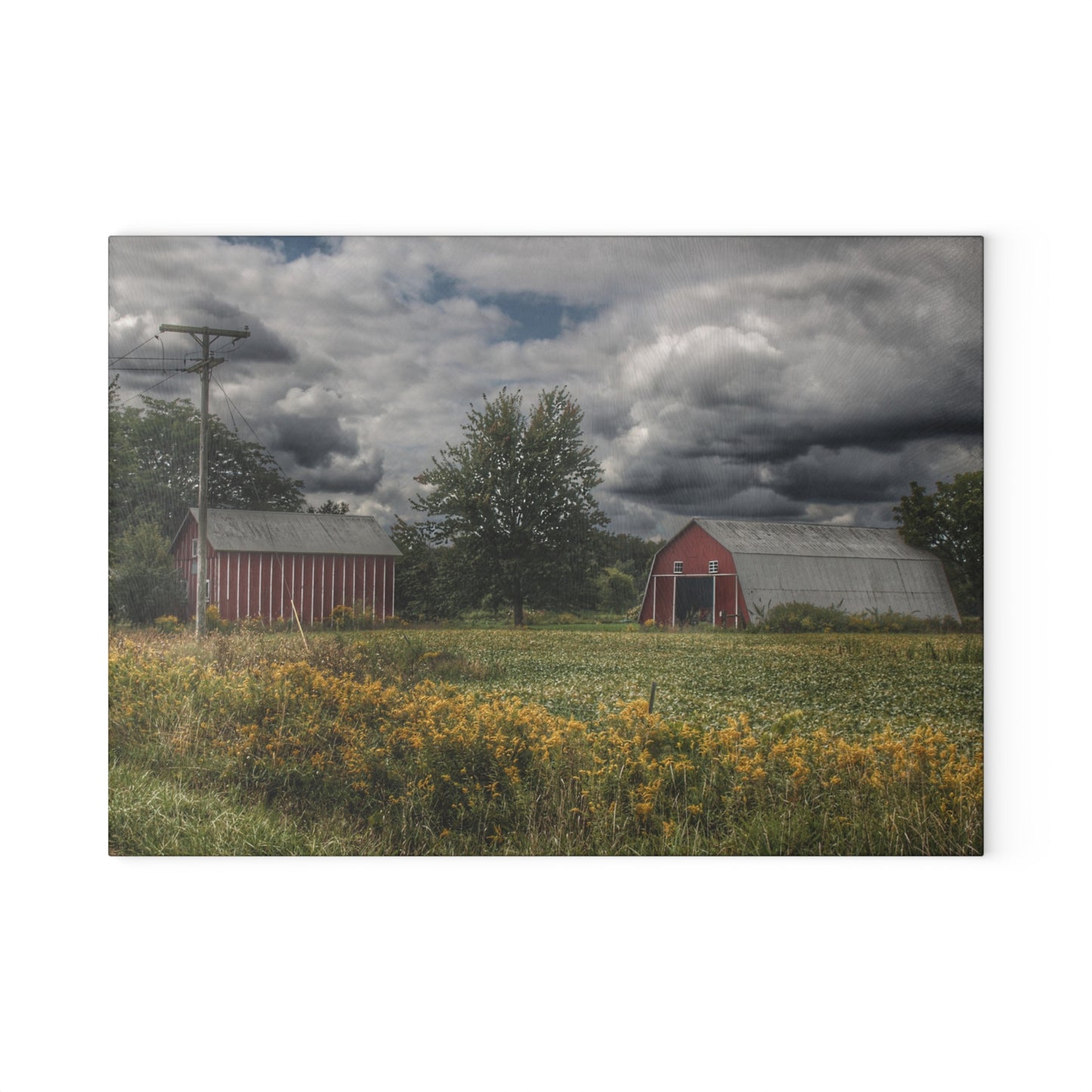 U R There Photography Pinstripe Barn and Buddy II Rustic Farmhouse Tempered-Glass Cutting Board