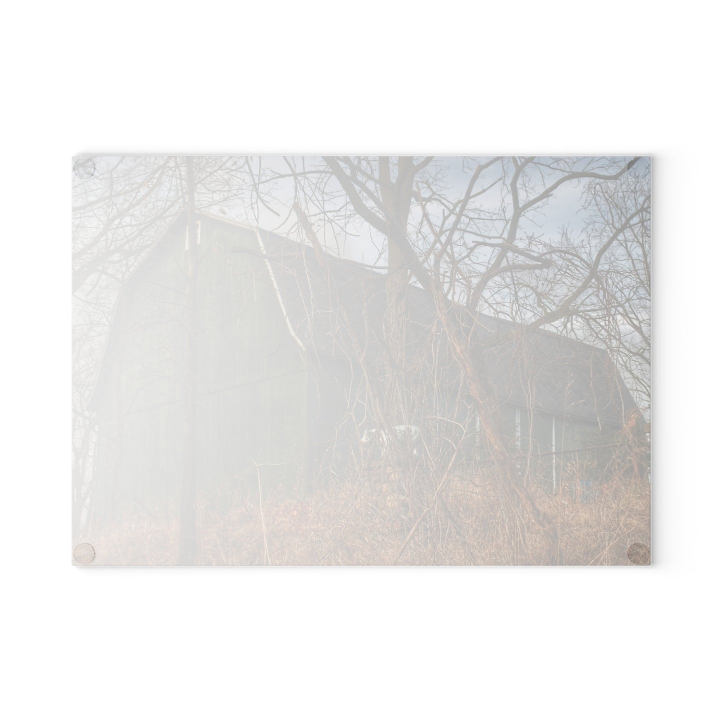 U R There Photography Yale Road Hidden Green Rustic Farmhouse Tempered-Glass Cutting Board