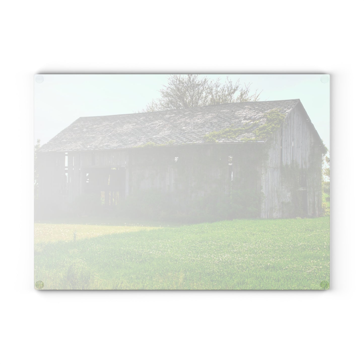 U R There Photography Caro Road Twin Grey II Rustic Farmhouse Tempered-Glass Cutting Board