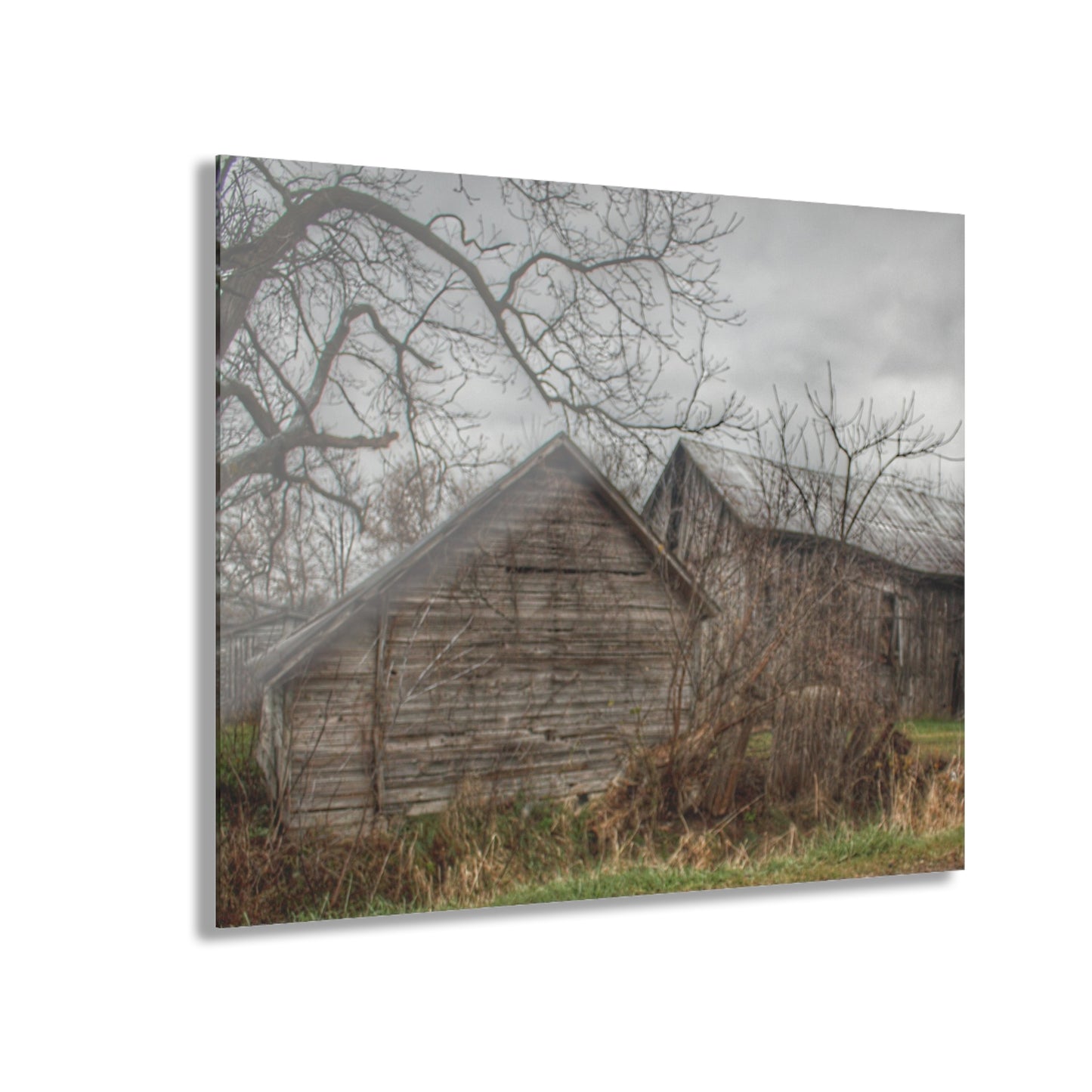 U R There Photography Bowers Road Greys II Rustic Farmhouse Acrylic Wall Print