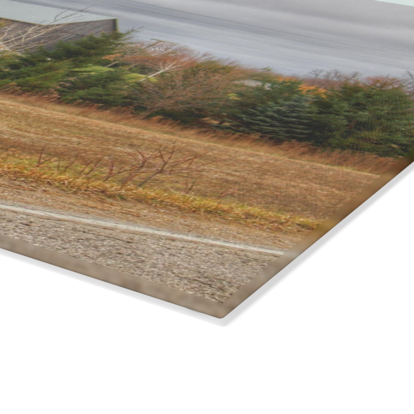 U R There Photography Burnside Grey Rustic Farmhouse Tempered-Glass Cutting Board