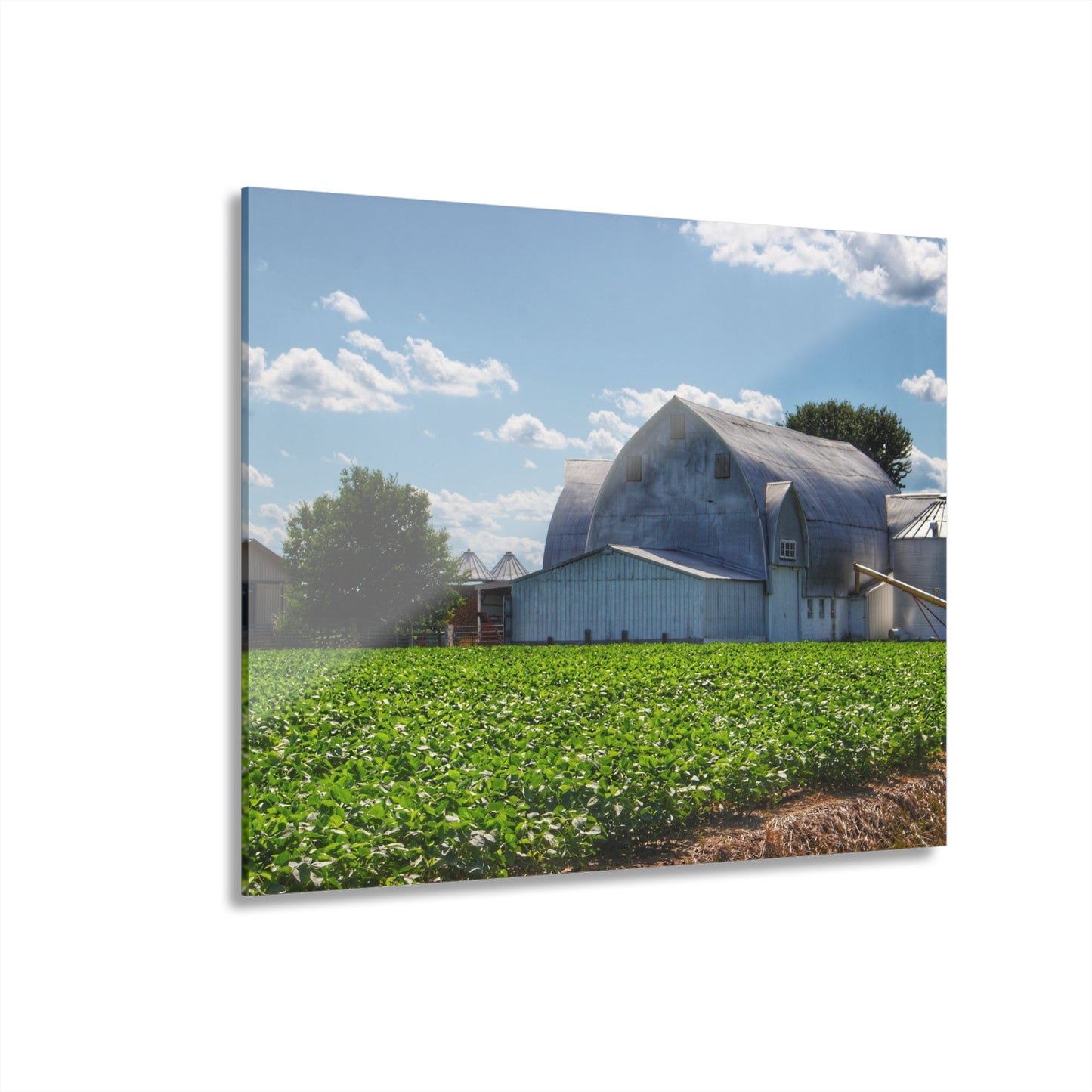 U R There Photography Canada Road White Rustic Farmhouse Acrylic Wall Print