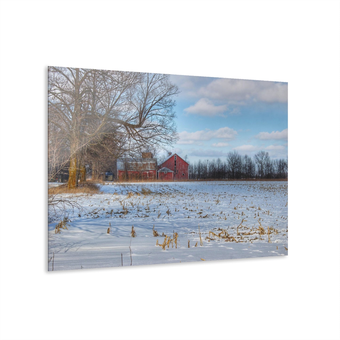 Rustic Farmhouse Wall Print Featuring Across Barnes Roads Frozen Corn Field
