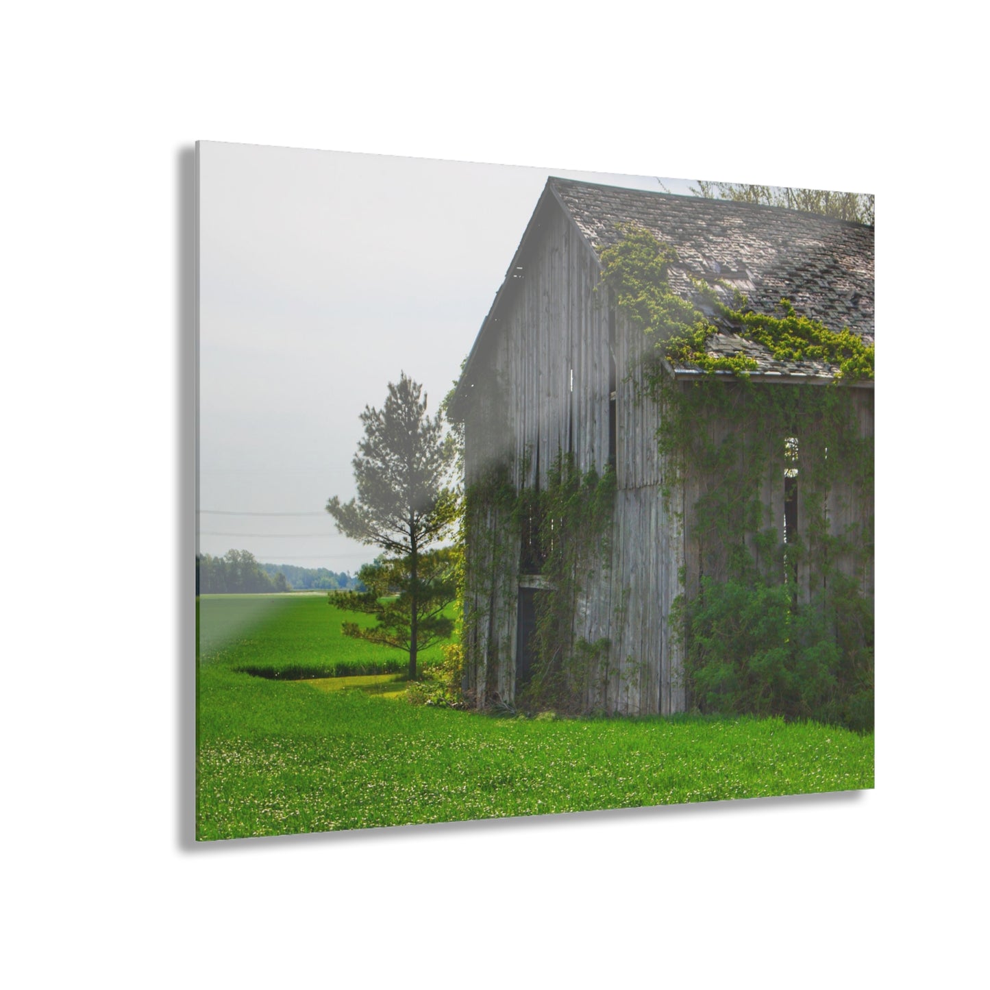 U R There Photography Caro Road Twin Grey I Rustic Farmhouse Acrylic Wall Print
