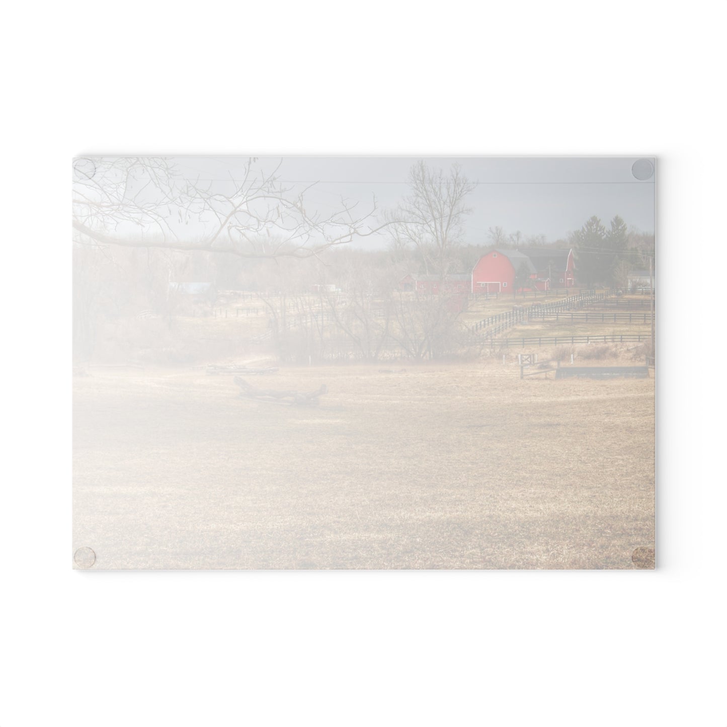 U R There Photography Beyond the Trees on Rock Valley Road Rustic Farmhouse Tempered-Glass Cutting Board