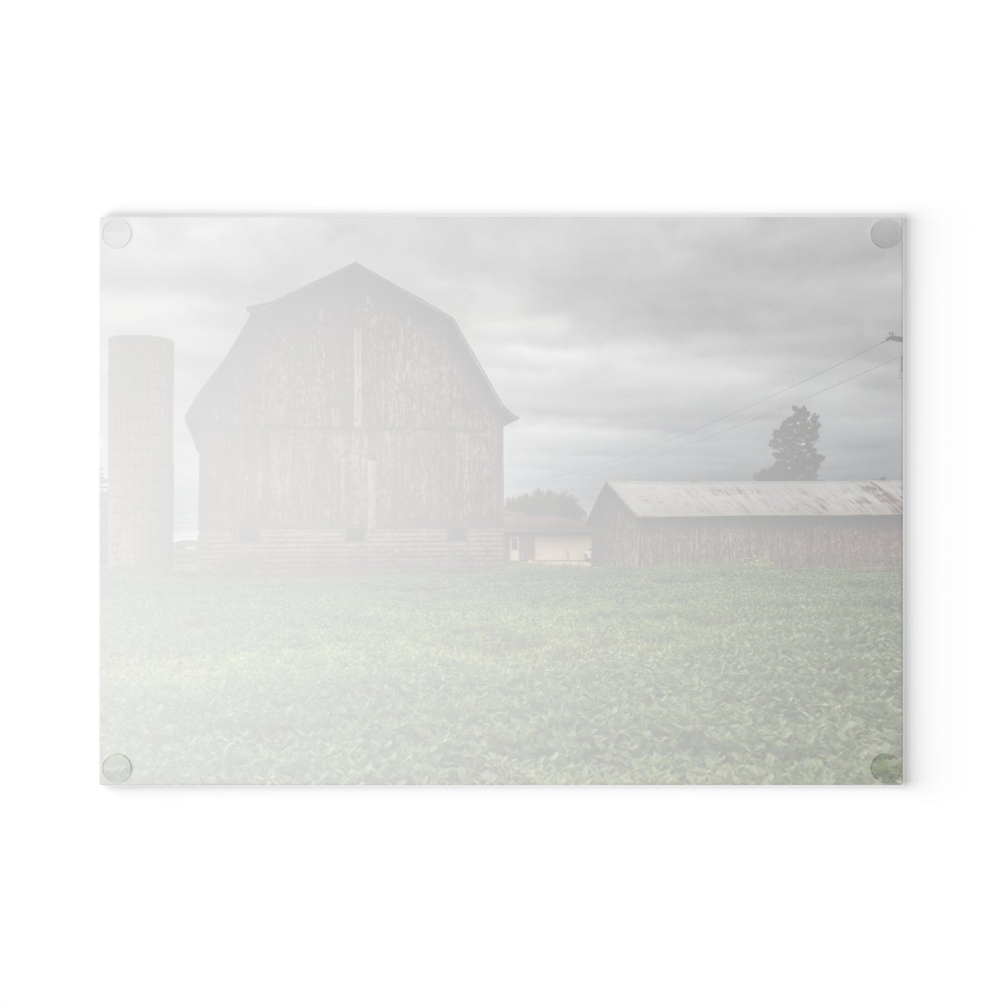 U R There Photography Van Geisen Road Grey Rustic Farmhouse Tempered-Glass Cutting Board