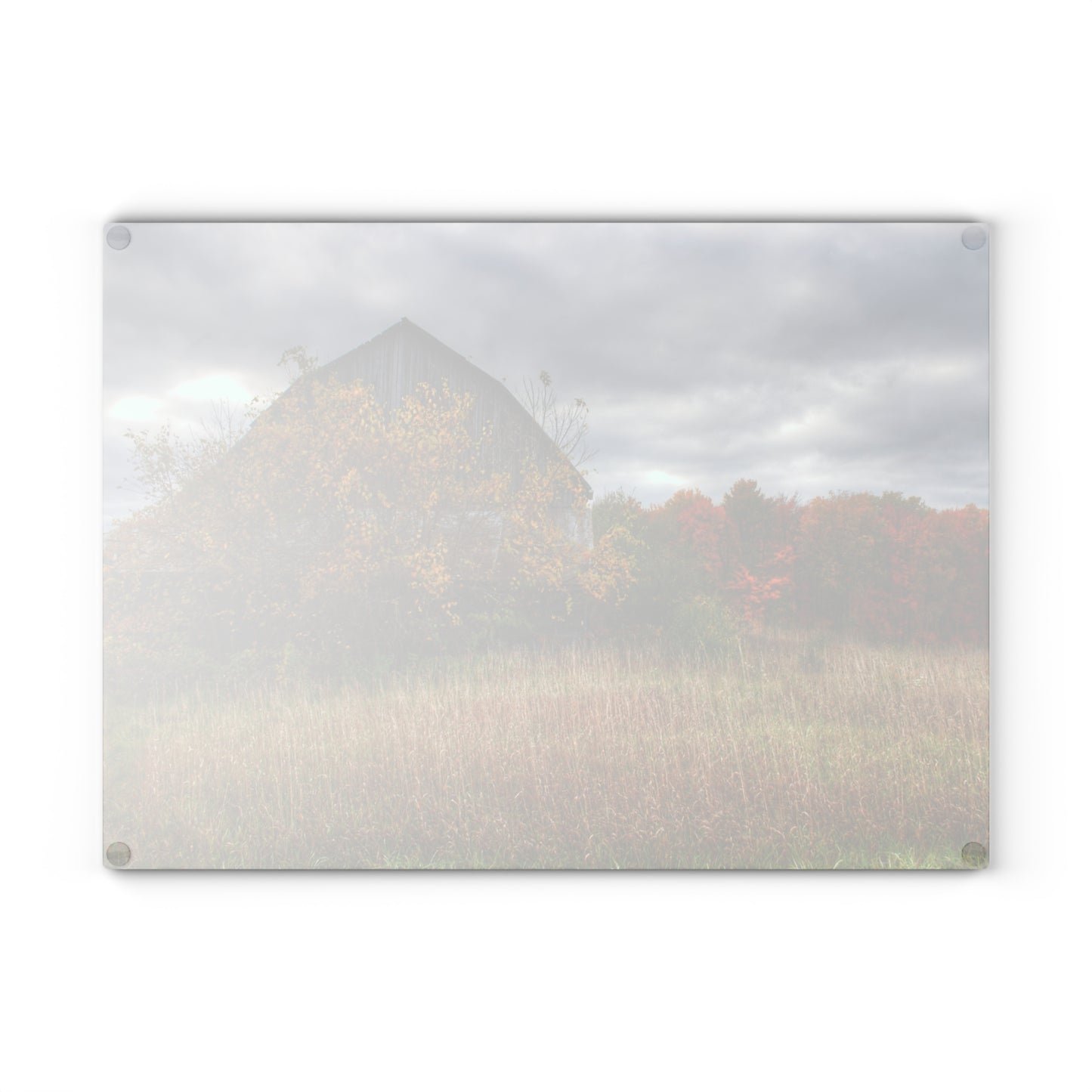 U R There Photography Church Road Grey III Rustic Farmhouse Tempered-Glass Cutting Board