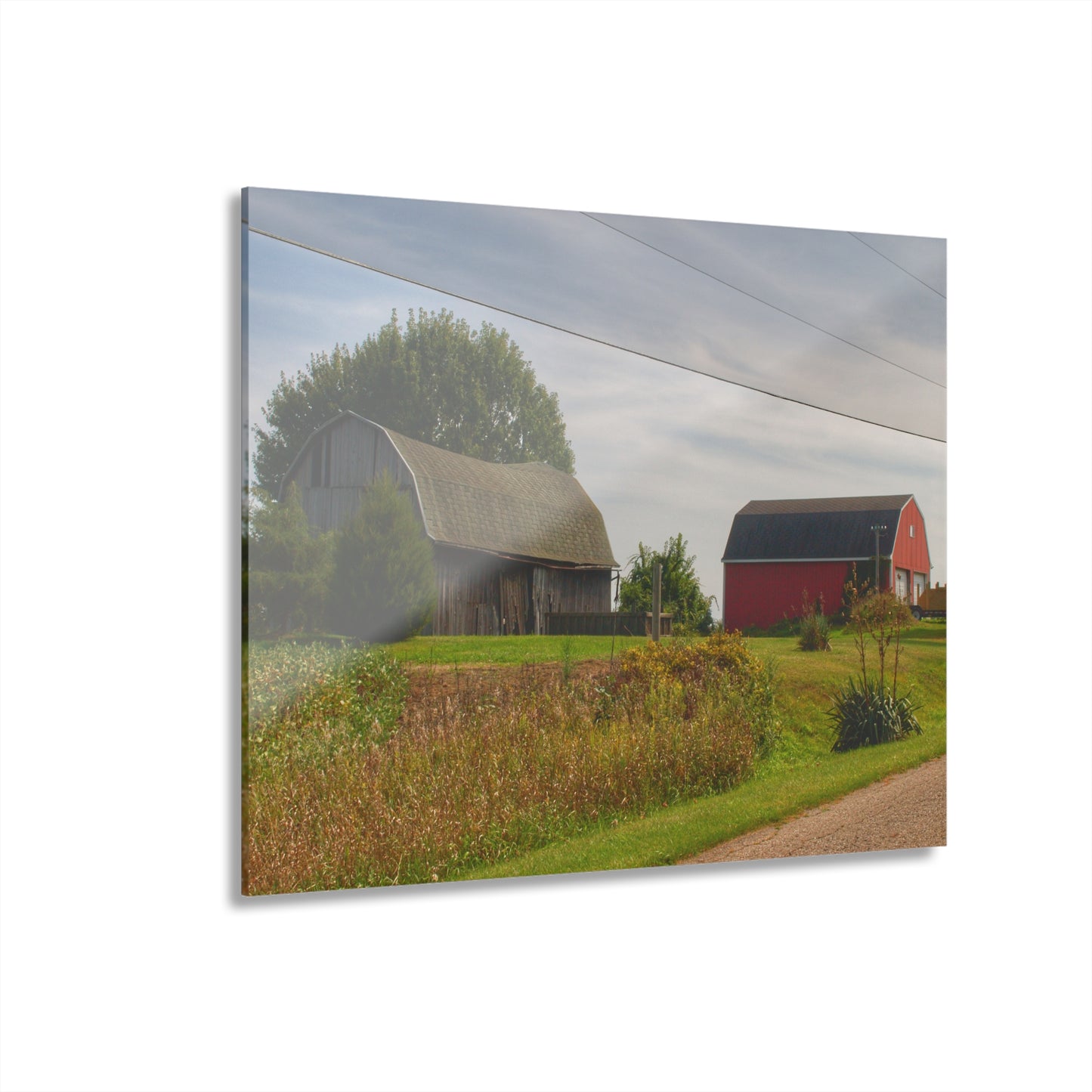 U R There Photography Schott Road Generations Rustic Farmhouse Acrylic Wall Print