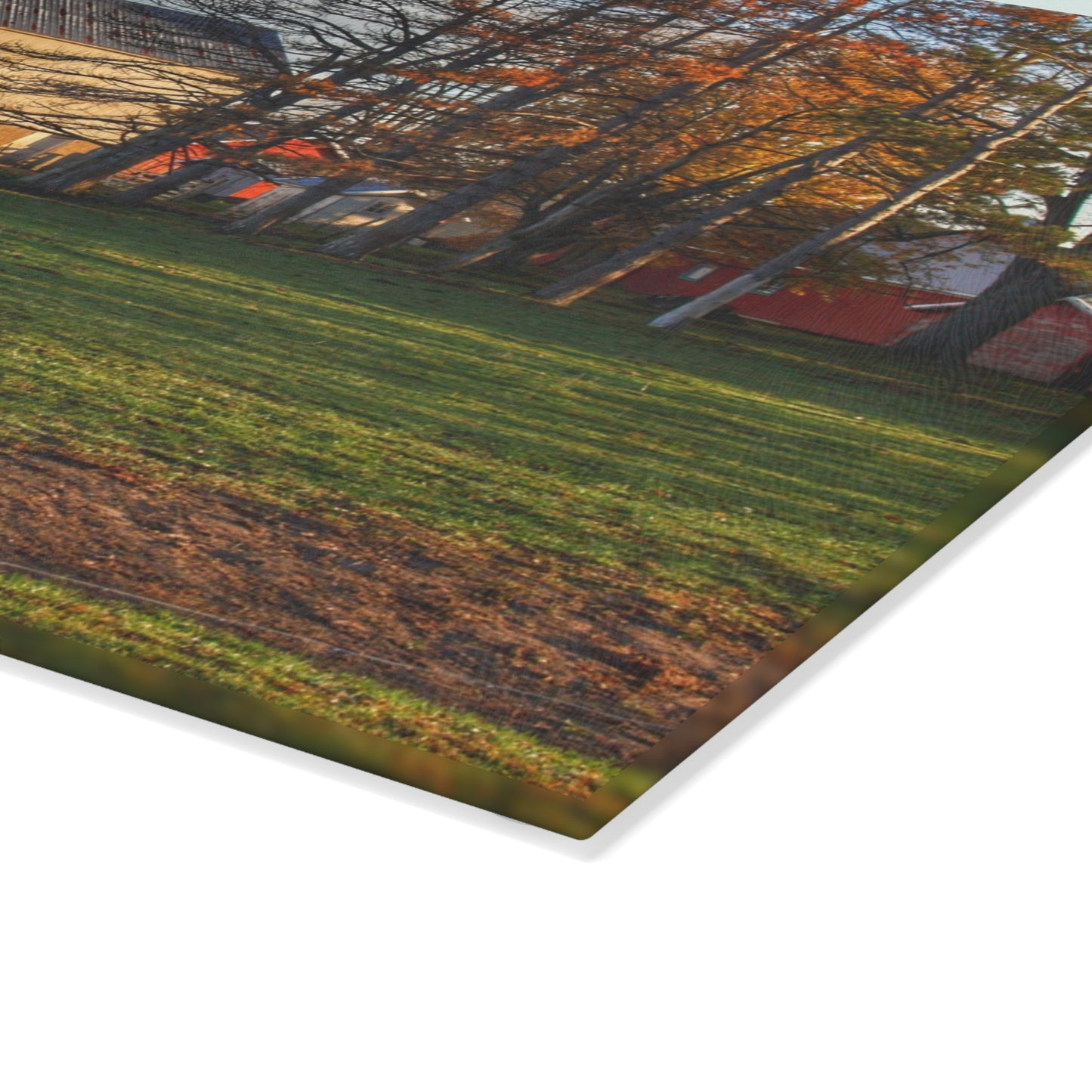 U R There Photography Peck Road White Rustic Farmhouse Tempered-Glass Cutting Board
