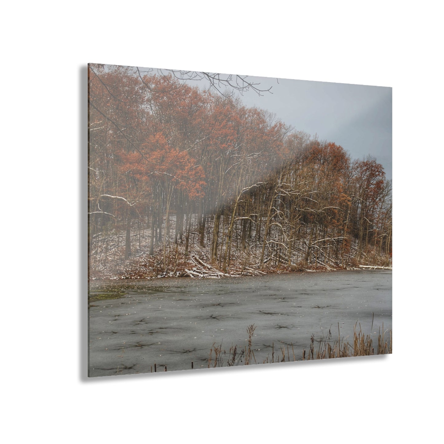 U R There Photography The Freeze of Thornville Rustic Farmhouse Acrylic Wall Print