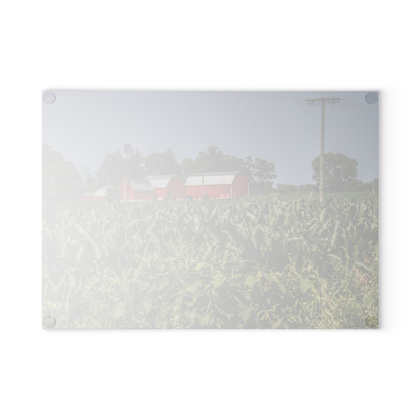 U R There Photography Shoemaker Road Reds Beyond the Corn Rustic Farmhouse Tempered-Glass Cutting Board