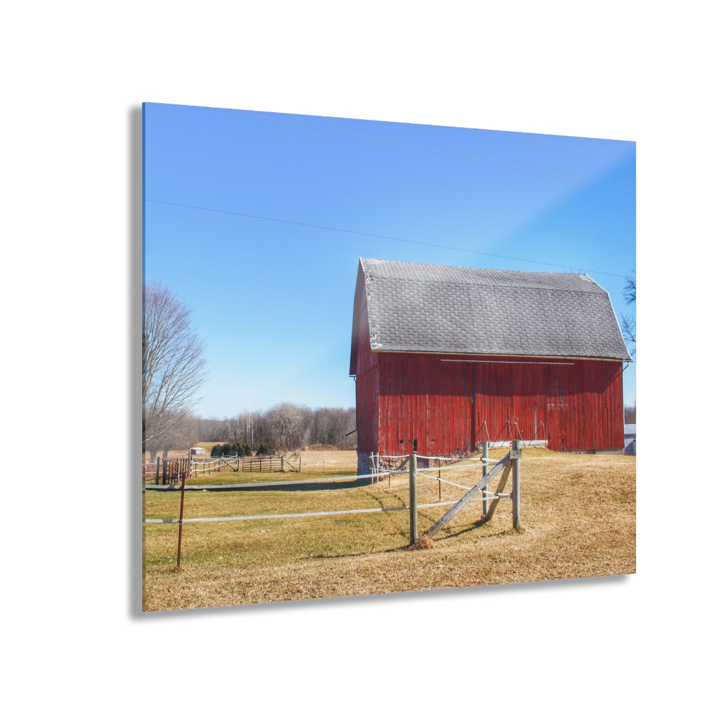U R There Photography Phillips Road Red Rustic Farmhouse Acrylic Wall Print