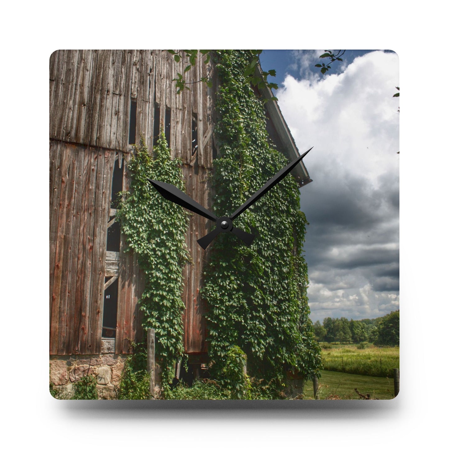 U R There Photography North Branch Ivy Grey II Rustic Farmhouse Acrylic Analog Wall Clock