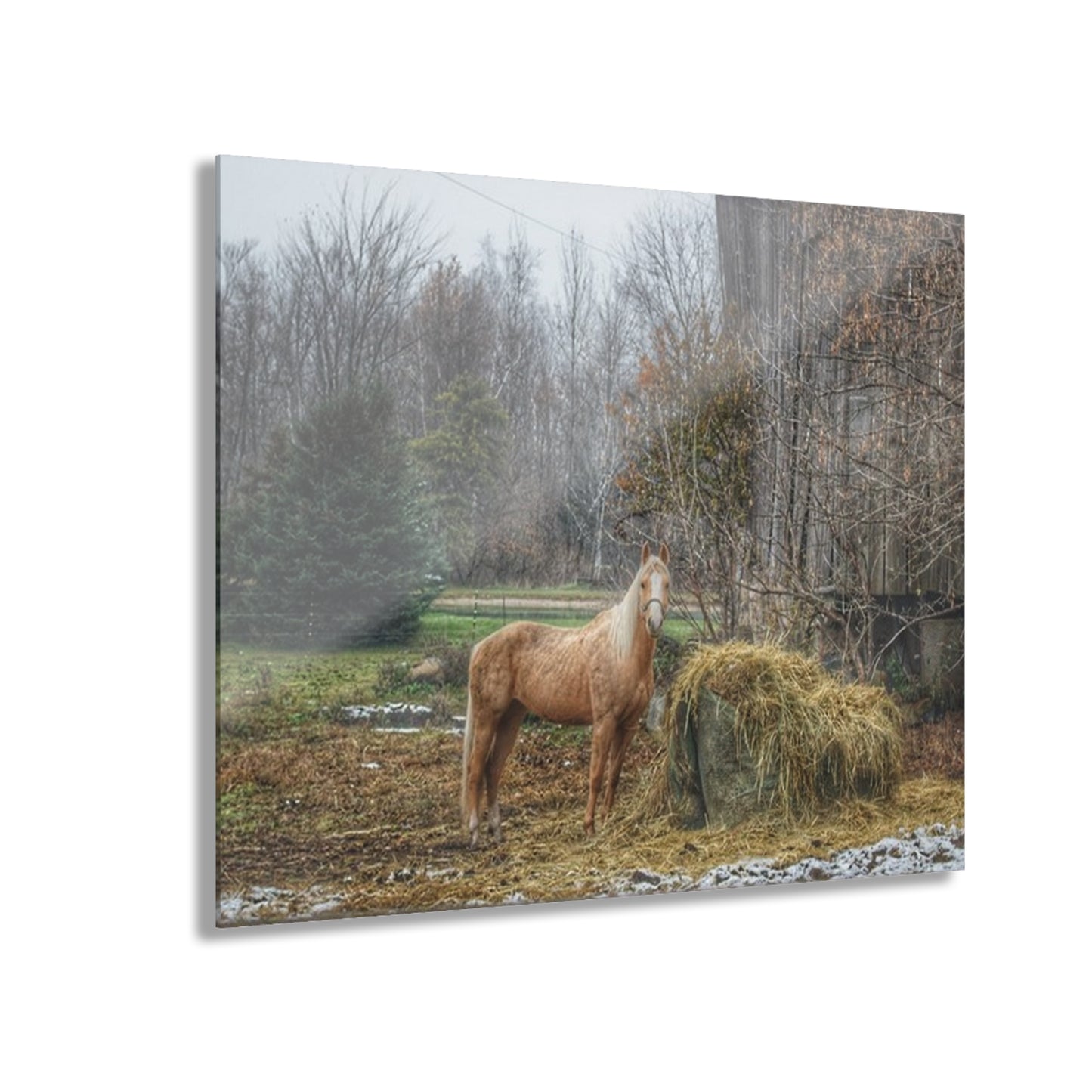 U R There Photography French Road Butterscotch Rustic Farmhouse Acrylic Wall Print