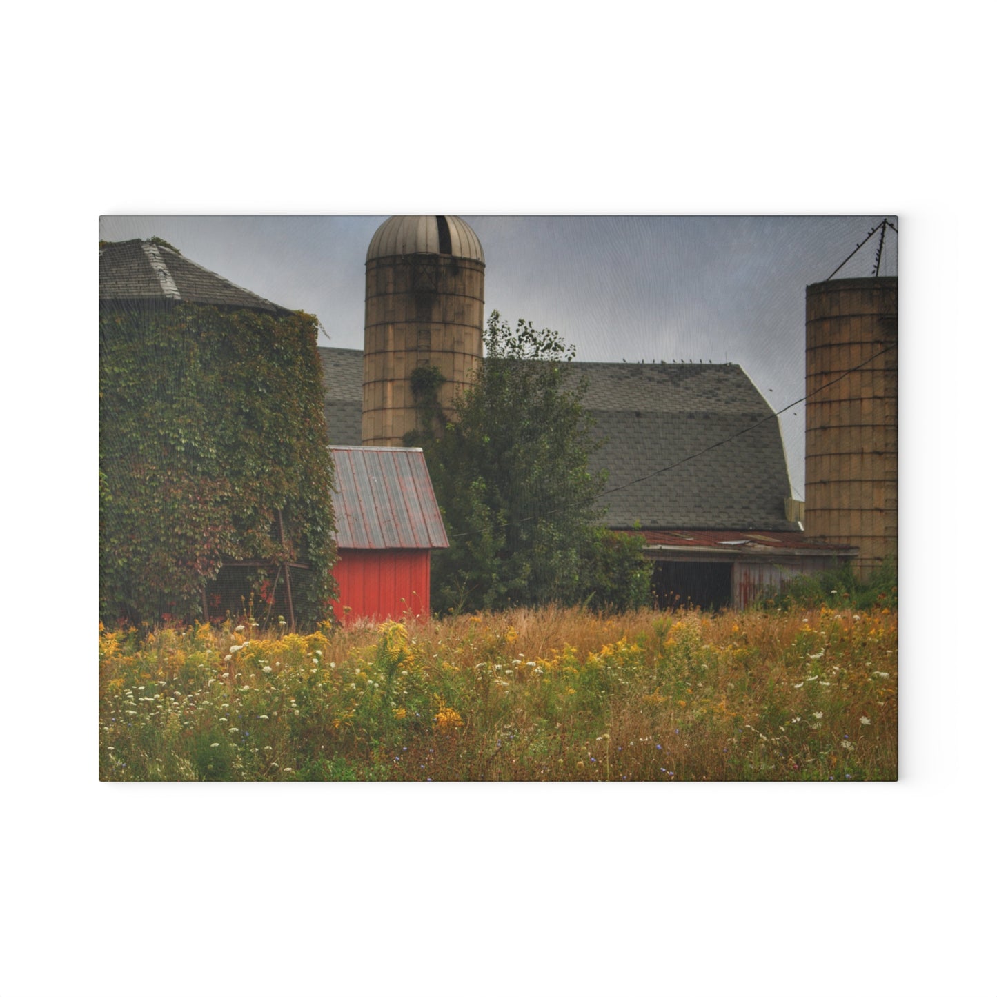 U R There Photography Silos of Otisville Rustic Farmhouse Tempered-Glass Cutting Board