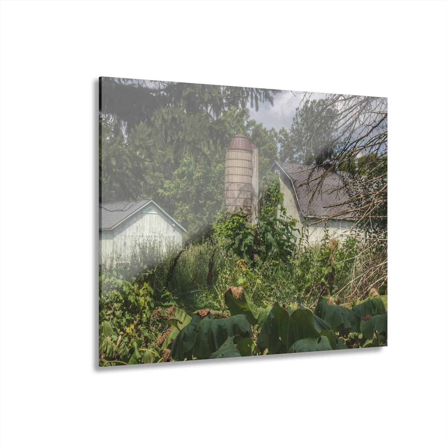 U R There Photography Clark Road Hidden Rustic Farmhouse Acrylic Wall Print