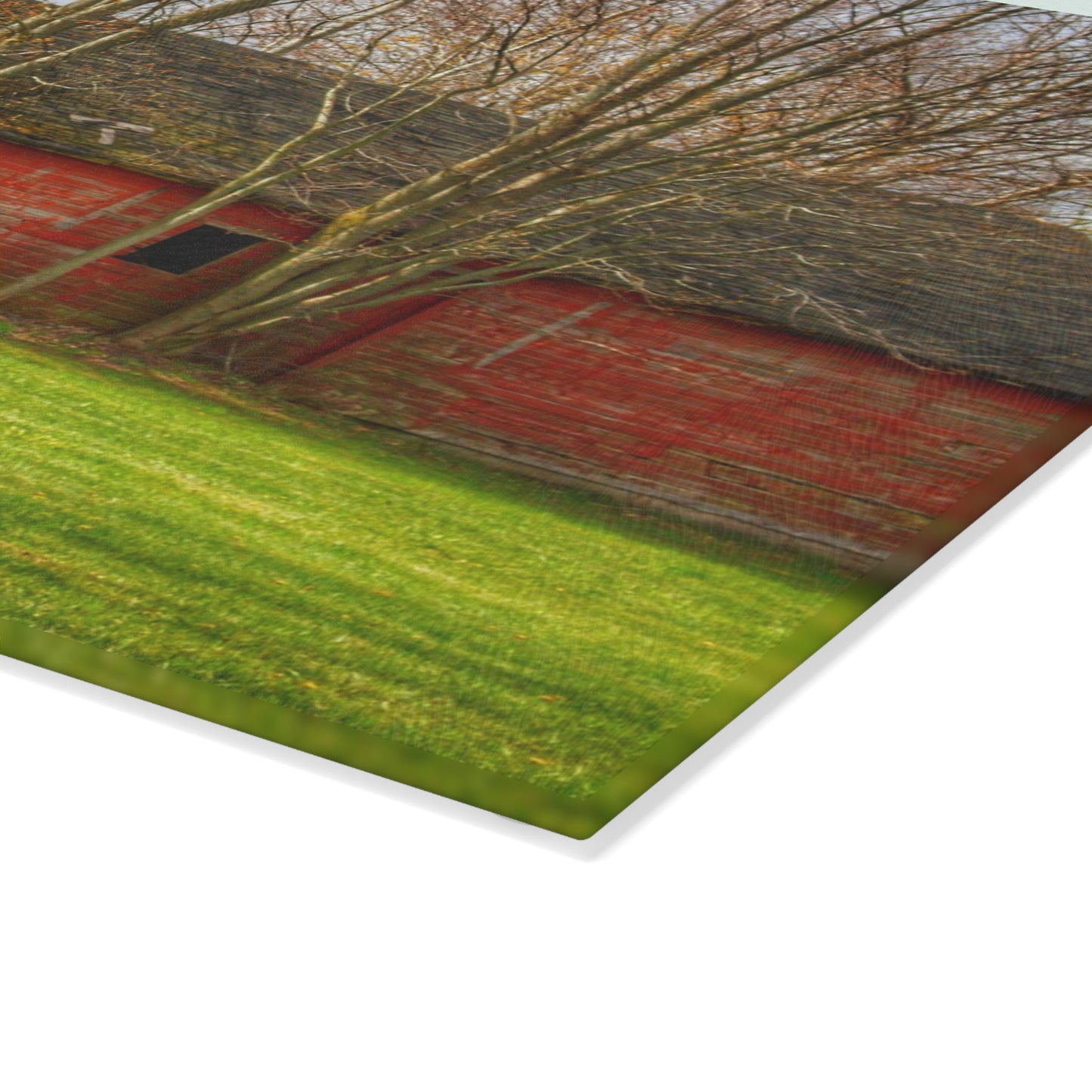 U R There Photography Centerline Shack Rustic Farmhouse Tempered-Glass Cutting Board