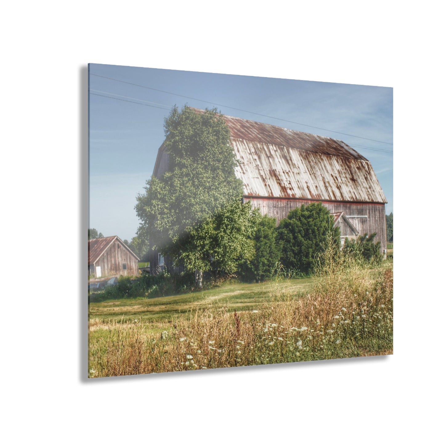 U R There Photography Barkley Road Red in Summer II Rustic Farmhouse Acrylic Wall Print