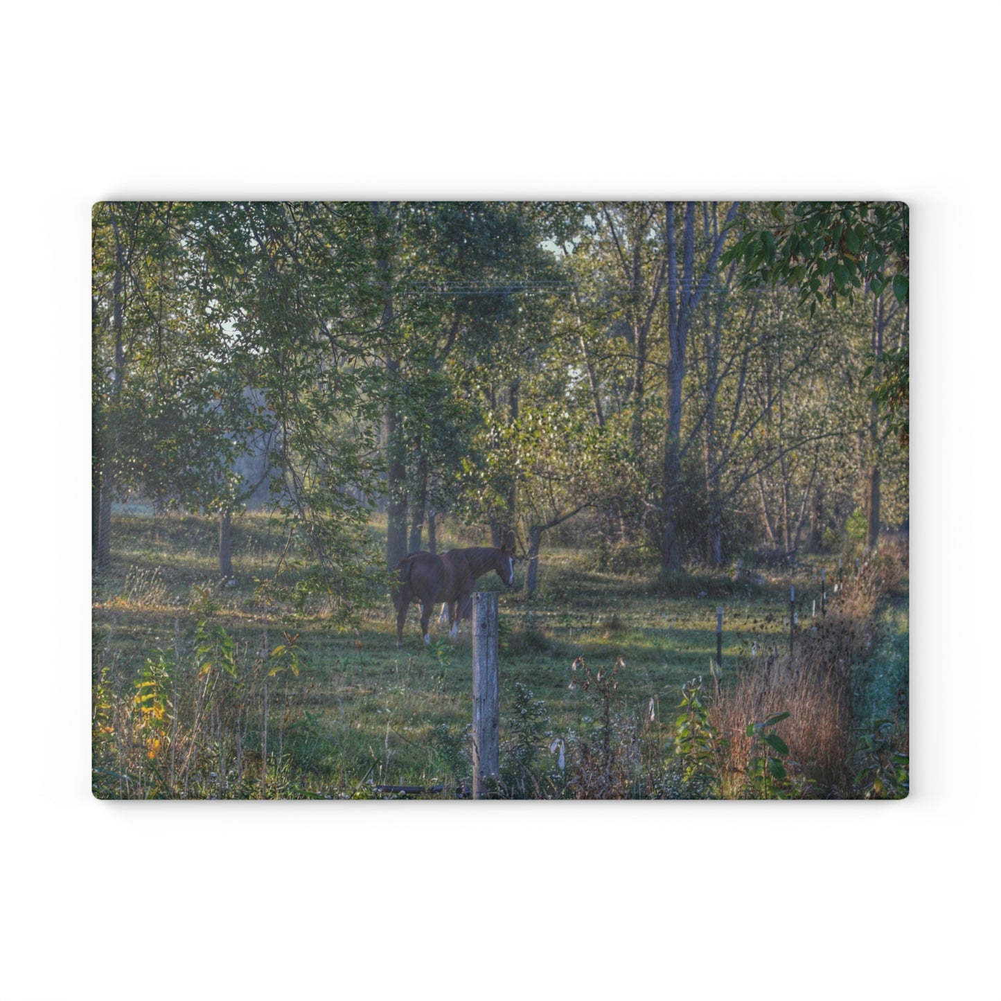 U R There Photography Chestnut Horse Among the Trees Rustic Farmhouse Tempered-Glass Cutting Board