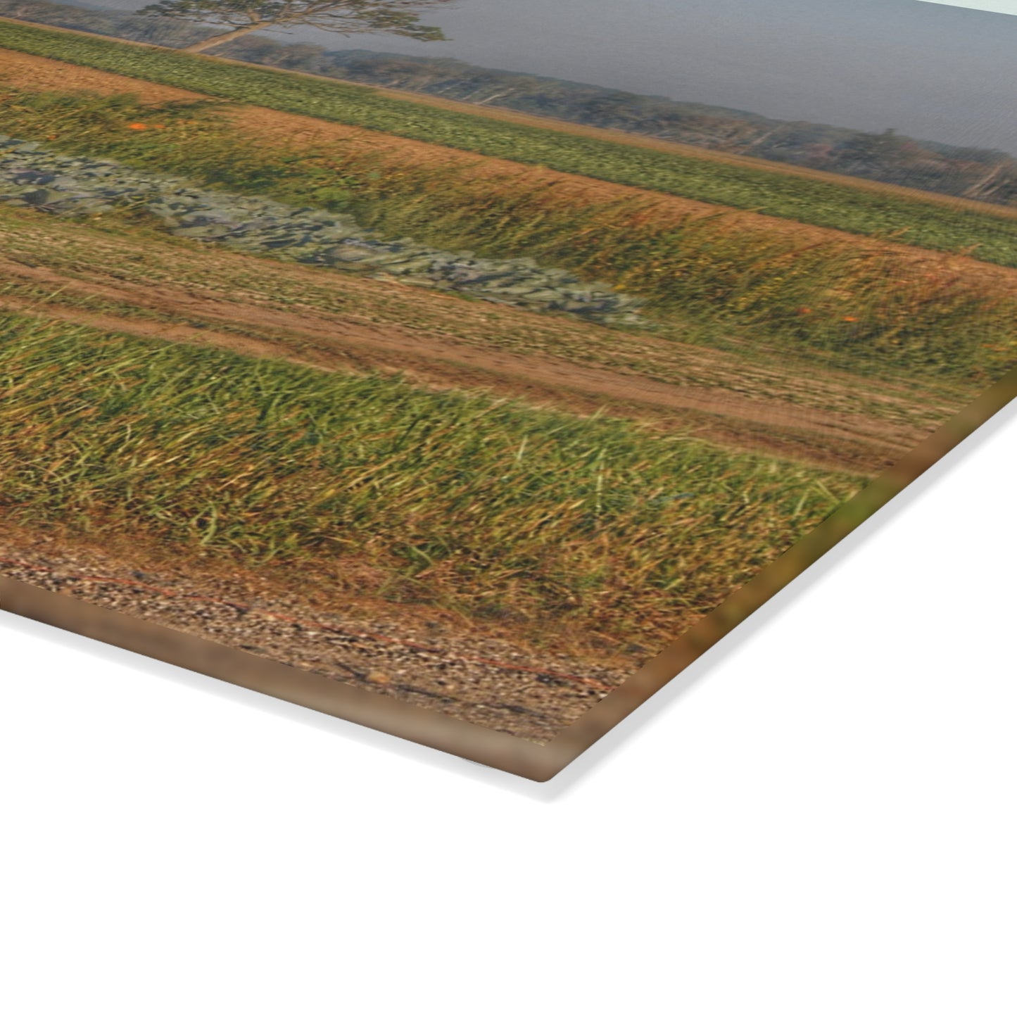 U R There Photography Cabbage and Pumpkin Patch Rustic Farmhouse Tempered-Glass Cutting Board