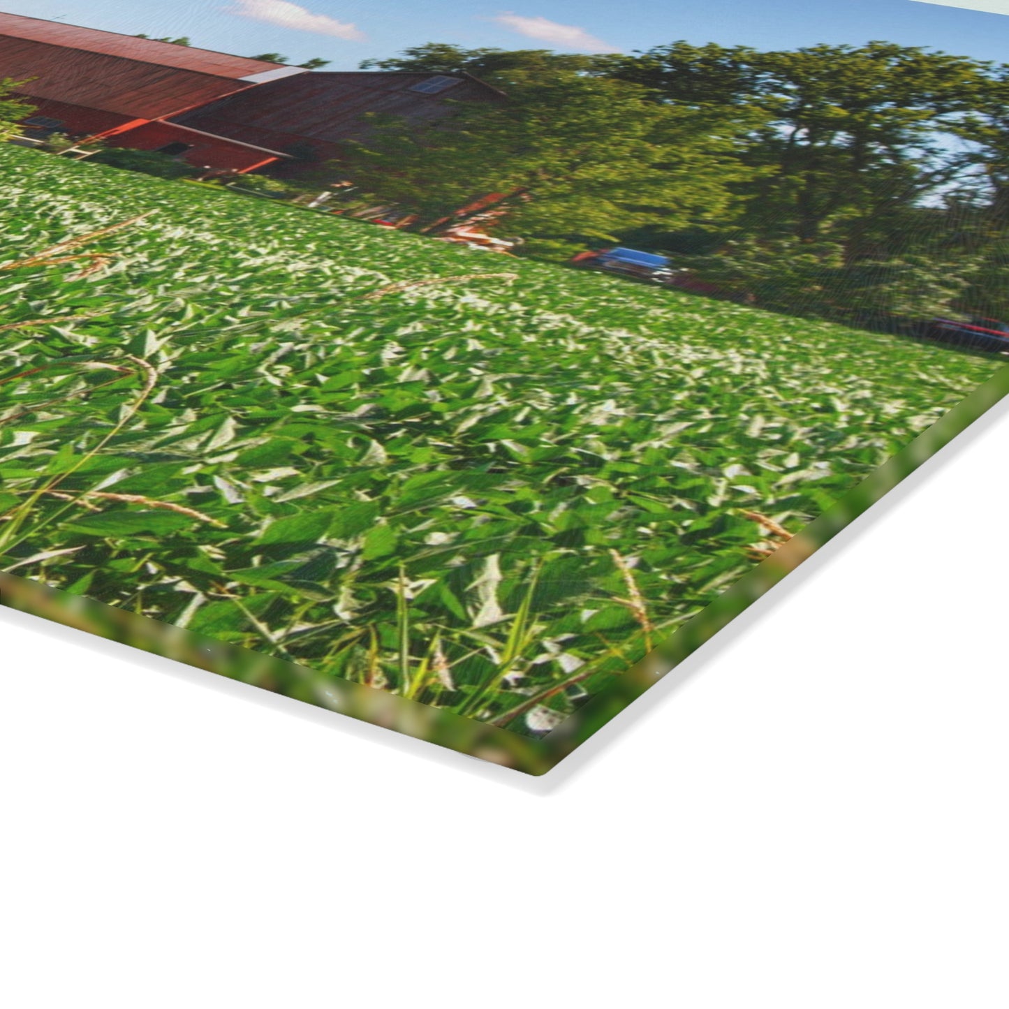U R There Photography Canada Road Hidden Red Rustic Farmhouse Tempered-Glass Cutting Board