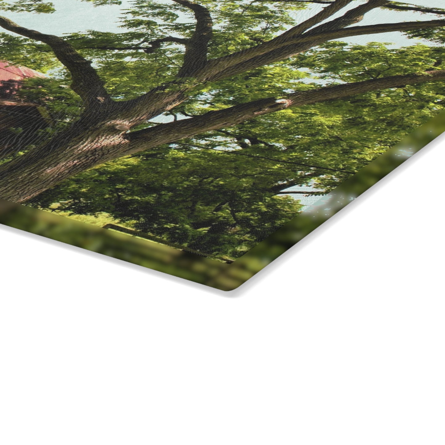 U R There Photography Oxford Rusted Red II Rustic Farmhouse Tempered-Glass Cutting Board
