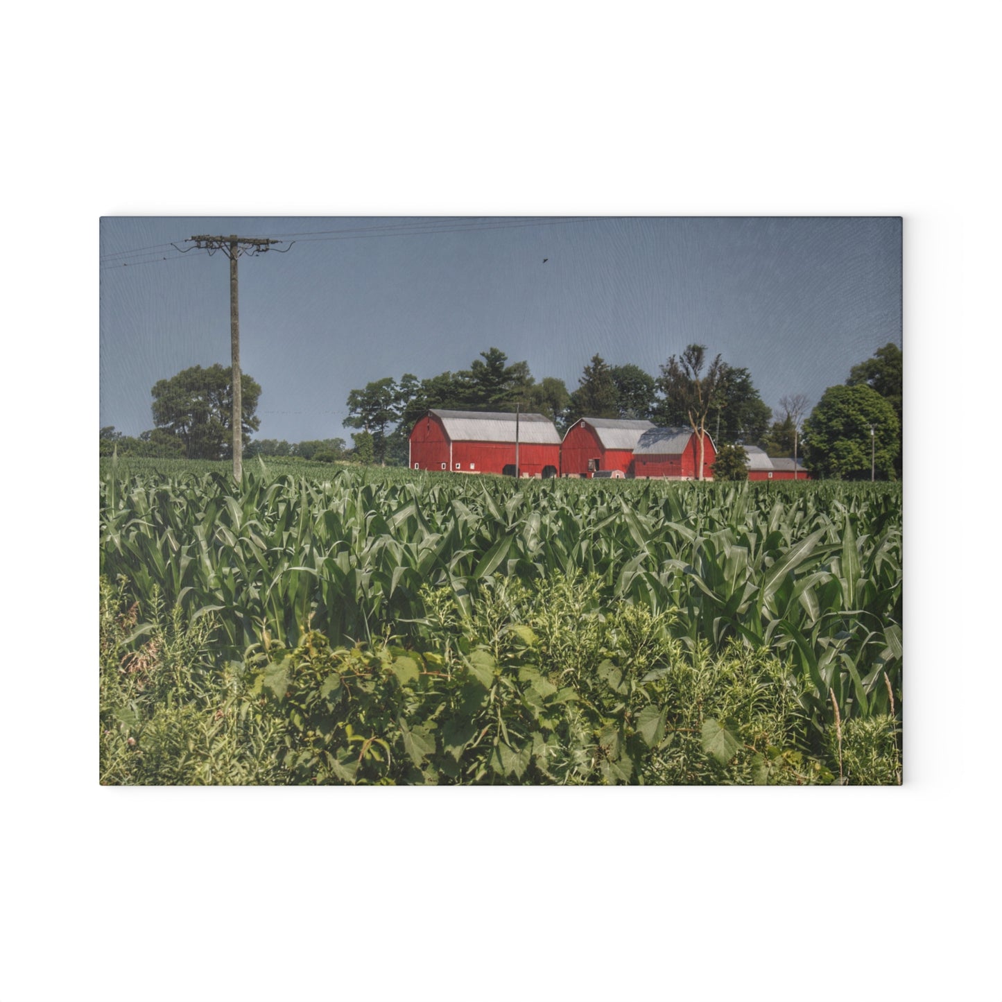 U R There Photography Shoemaker Road Reds Beyond the Corn Rustic Farmhouse Tempered-Glass Cutting Board