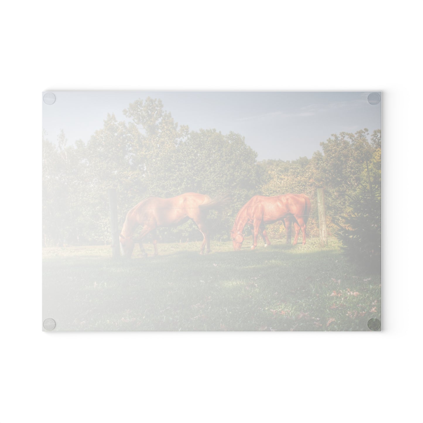 U R There Photography Caramel Horses Rustic Farmhouse Tempered-Glass Cutting Board