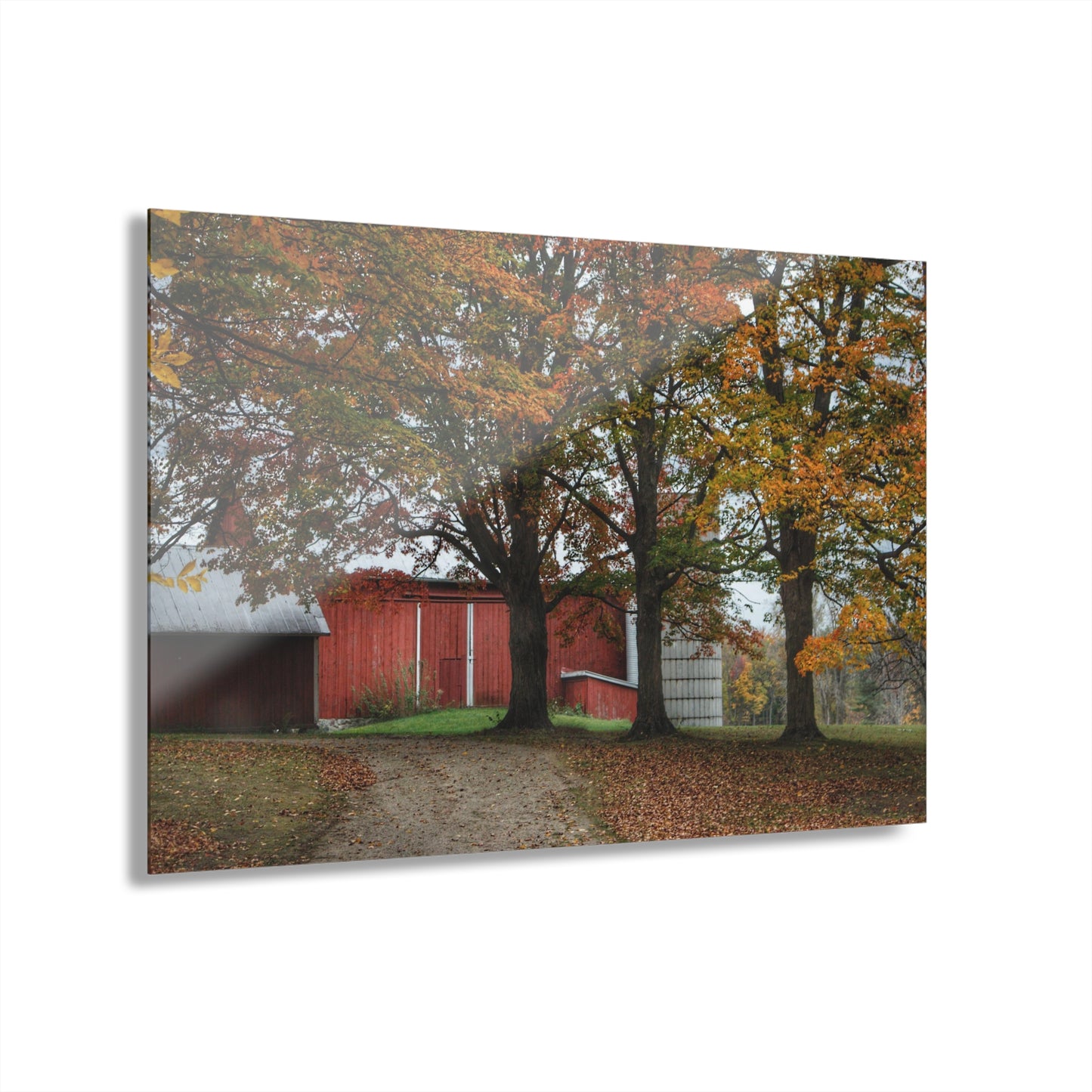 U R There Photography Brown Road Red in the Fall Rustic Farmhouse Acrylic Wall Print