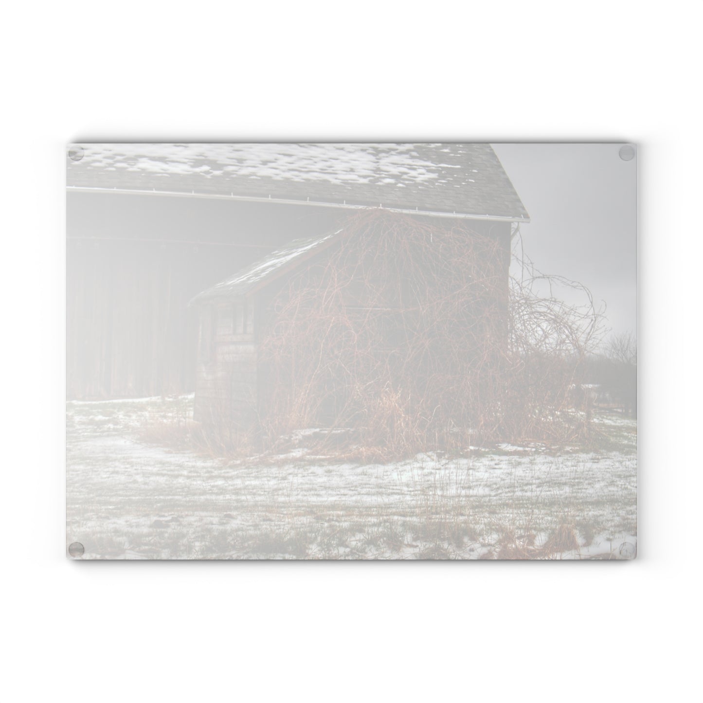 U R There Photography Wilder Road Little Winter Grey Rustic Farmhouse Tempered-Glass Cutting Board