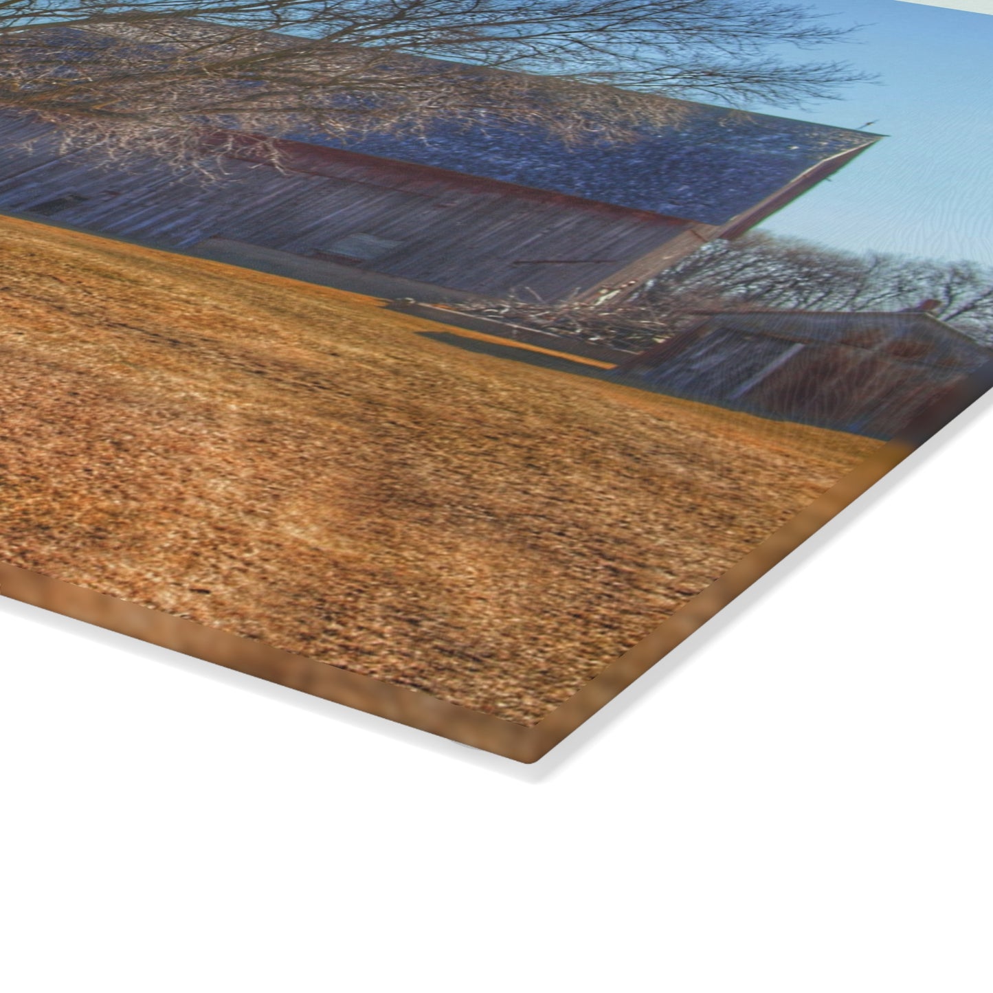 U R There Photography South Elkton Road Forgotten Greys Rustic Farmhouse Tempered-Glass Cutting Board