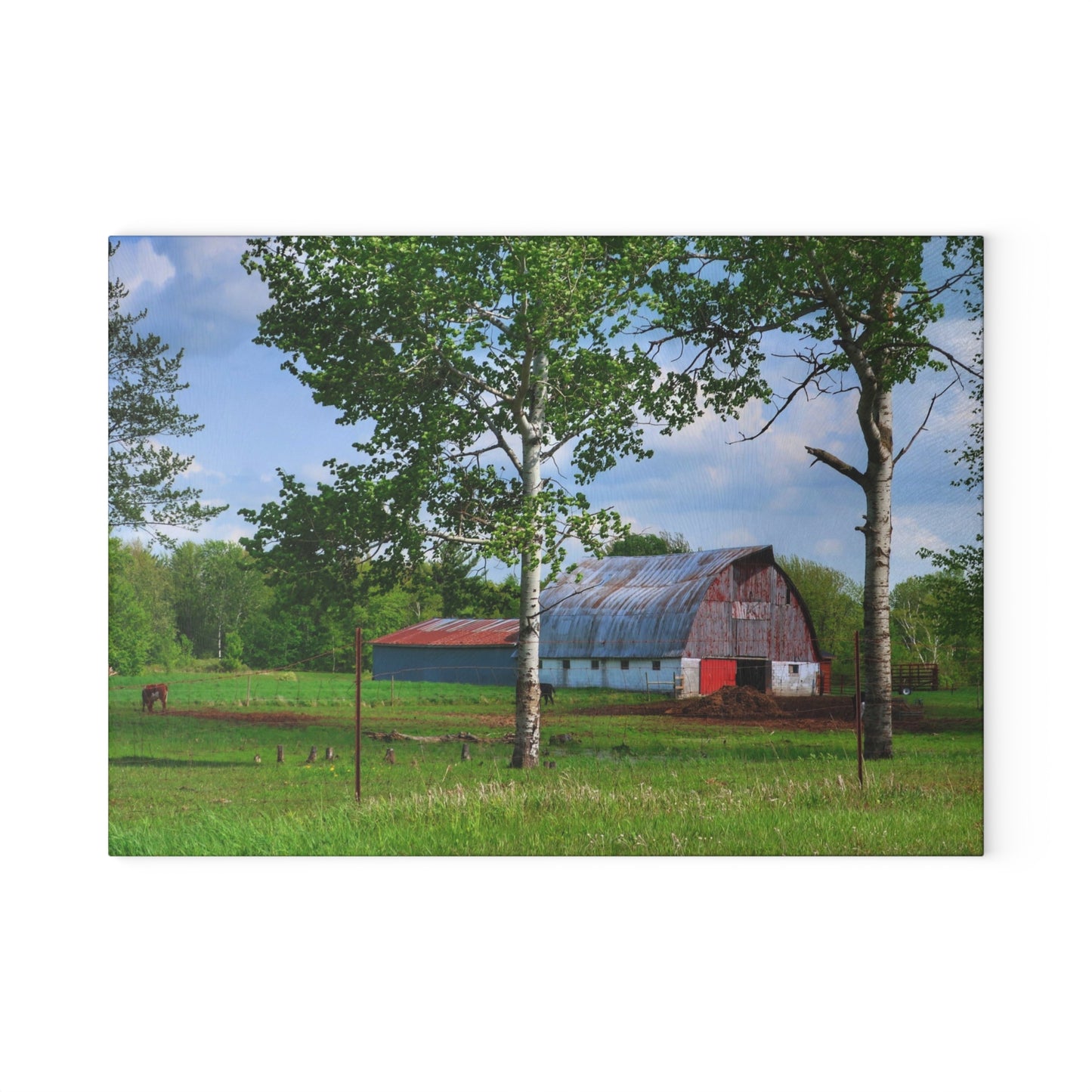 U R There Photography Shepard Road Hillman Red Rustic Farmhouse Tempered-Glass Cutting Board
