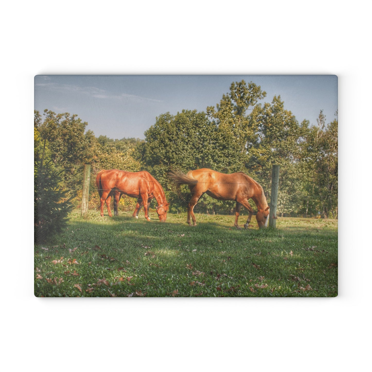 U R There Photography Caramel Horses Rustic Farmhouse Tempered-Glass Cutting Board