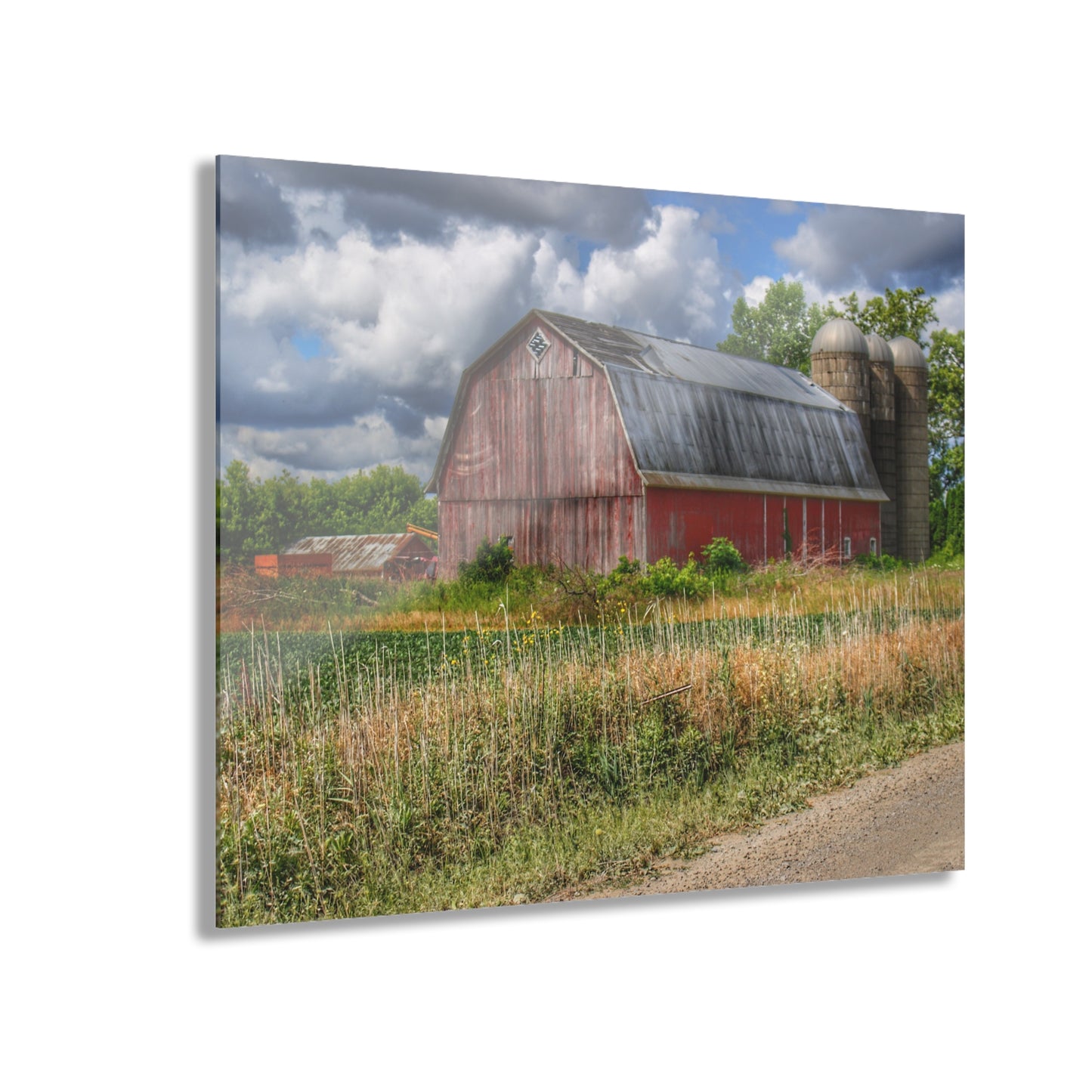 U R There Photography Shelby Red III Rustic Farmhouse Acrylic Wall Print