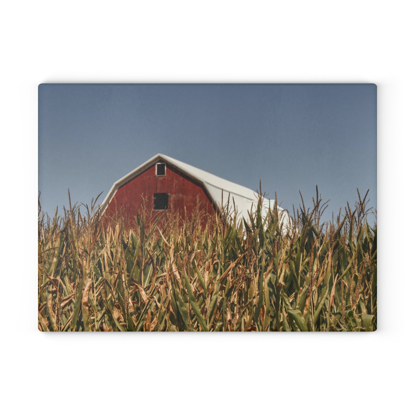 U R There Photography Beyond the Corn Rustic Farmhouse Tempered-Glass Cutting Board