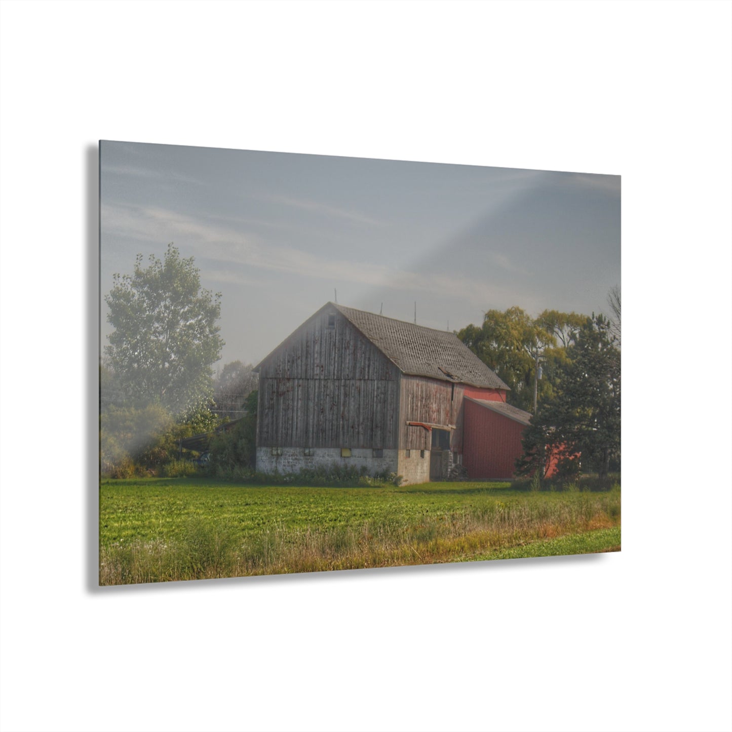 U R There Photography Pigeon Grey Saltbox Rustic Farmhouse Acrylic Wall Print