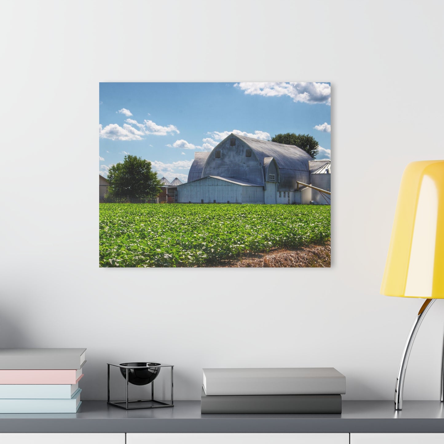 U R There Photography Canada Road White Rustic Farmhouse Acrylic Wall Print