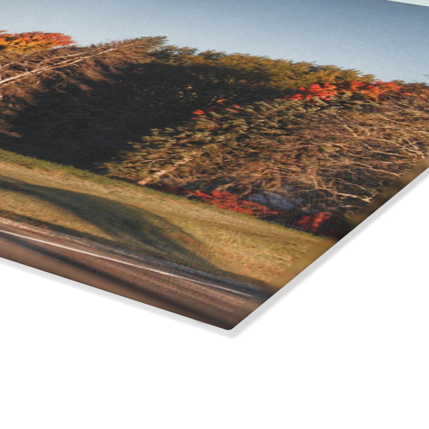 U R There Photography Tucked on Treasurer Road Rustic Farmhouse Tempered-Glass Cutting Board