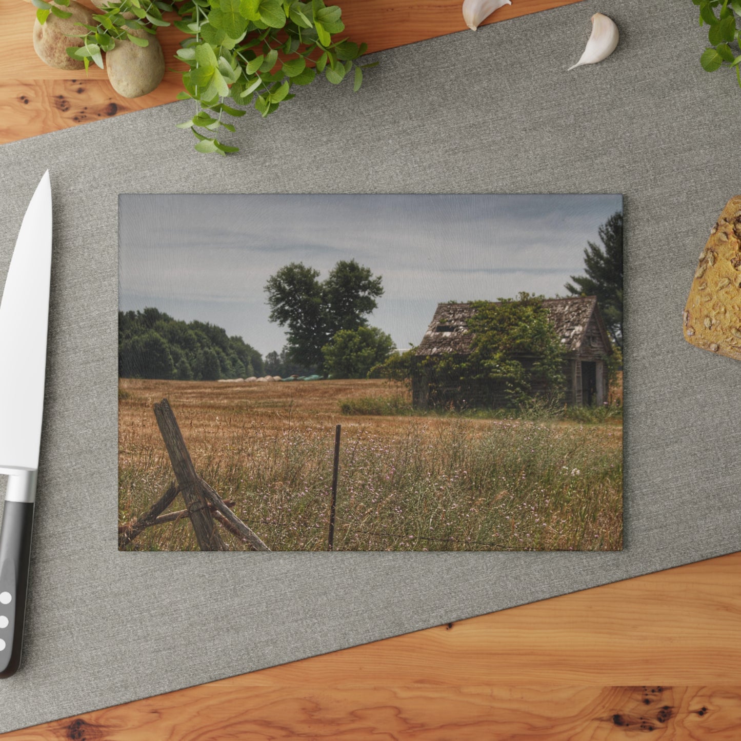 U R There Photography Waterman Road Shack Beyond the Fence Rustic Farmhouse Tempered-Glass Cutting Board
