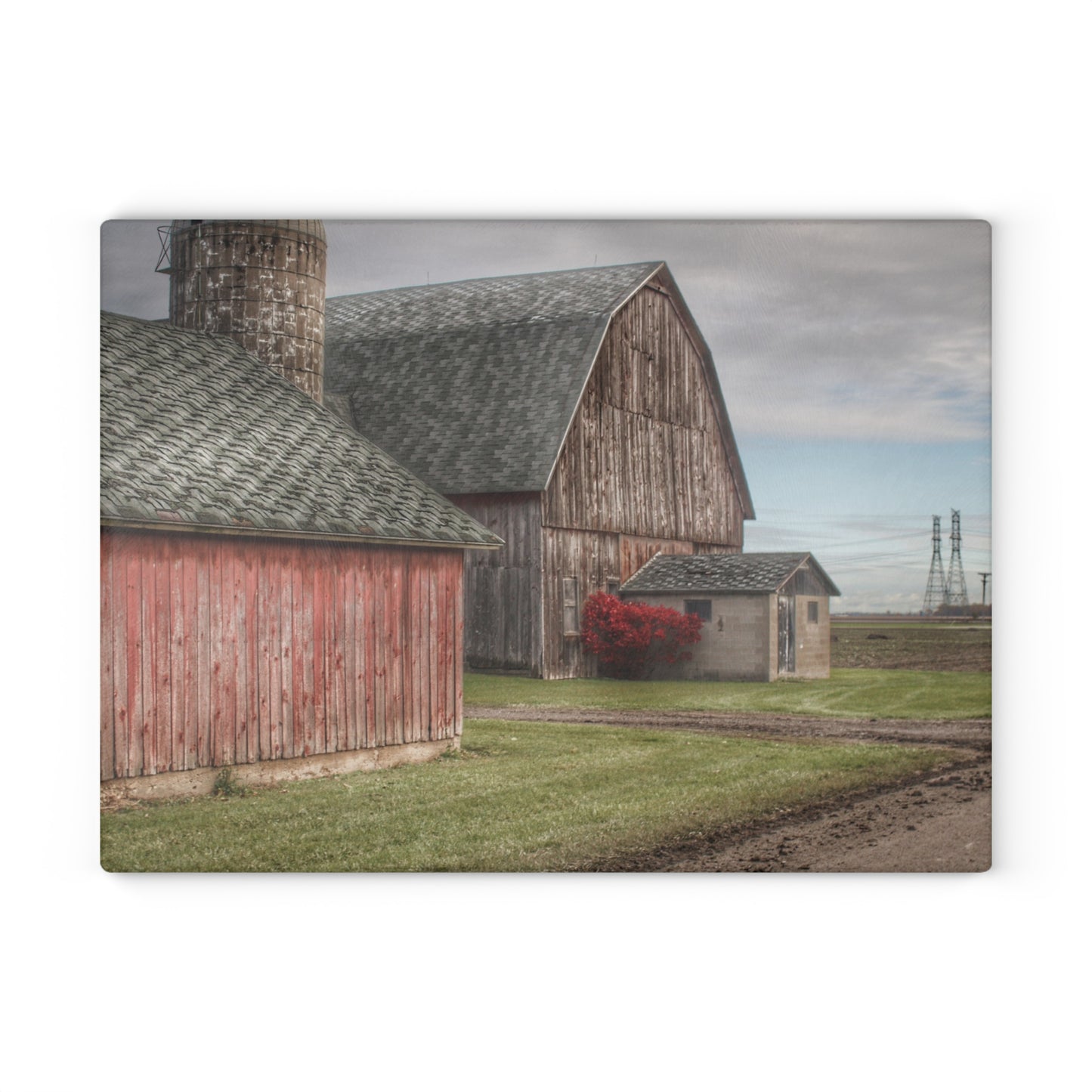 U R There Photography Roedel Roadside Reds III Rustic Farmhouse Tempered-Glass Cutting Board