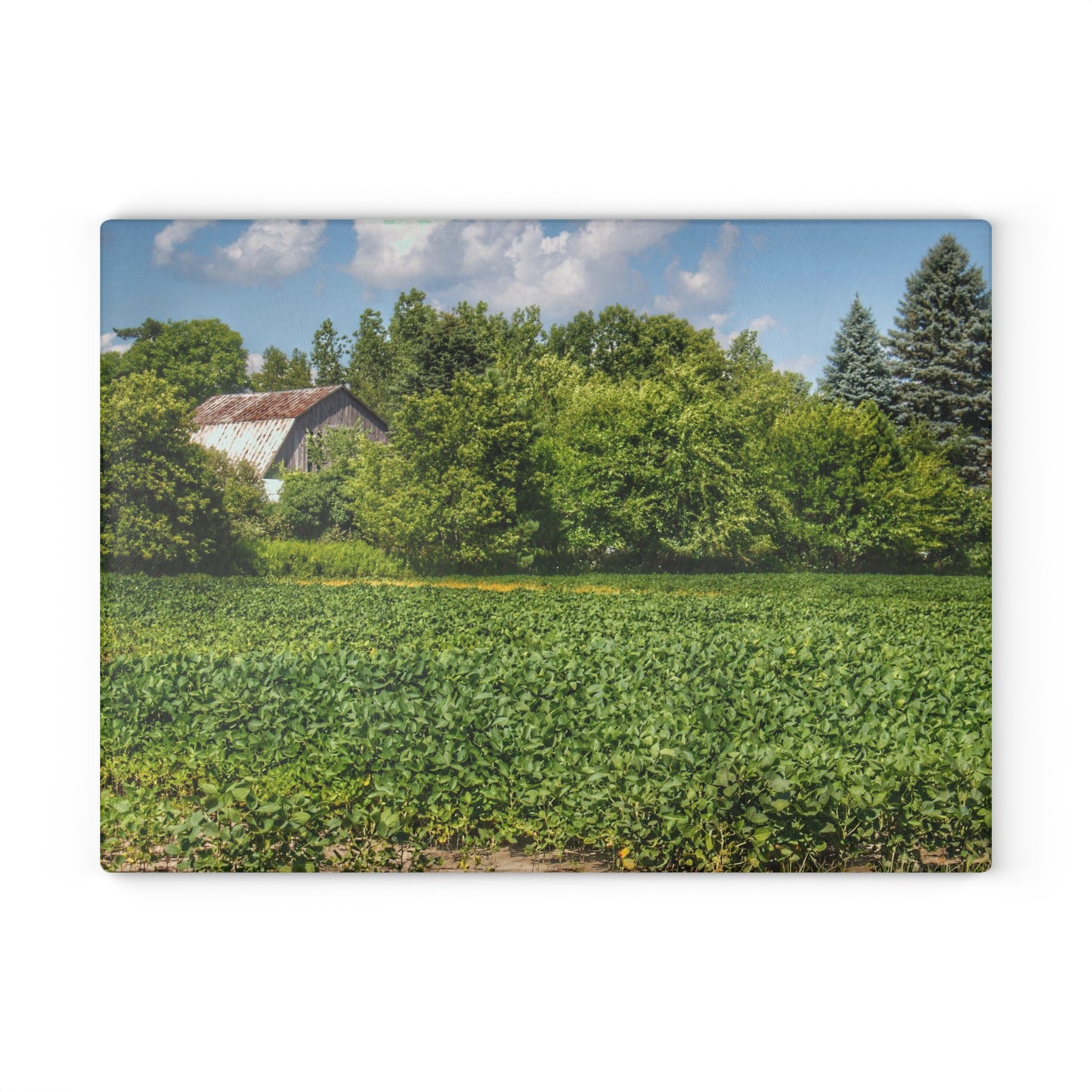 U R There Photography Canada Road Hidden Rustic Farmhouse Tempered-Glass Cutting Board