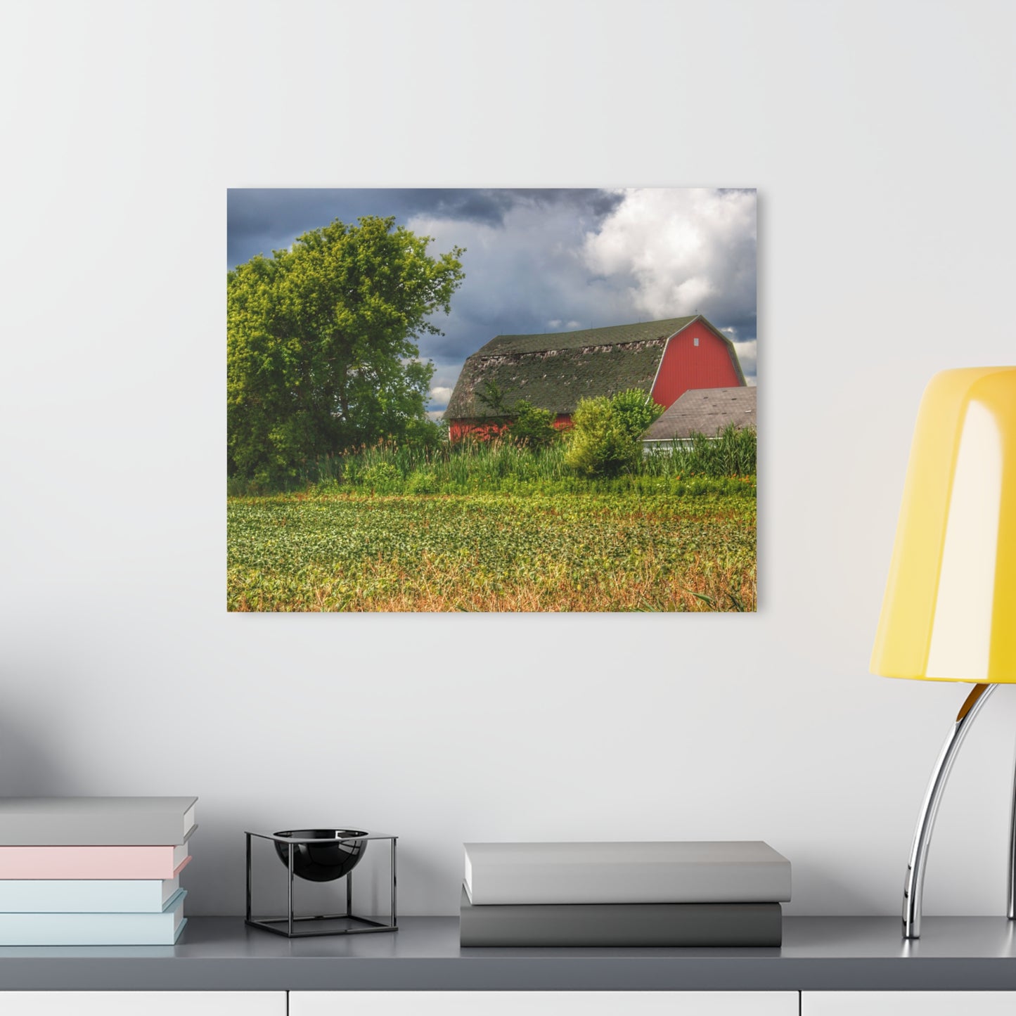 U R There Photography Shelby Red IV Rustic Farmhouse Acrylic Wall Print