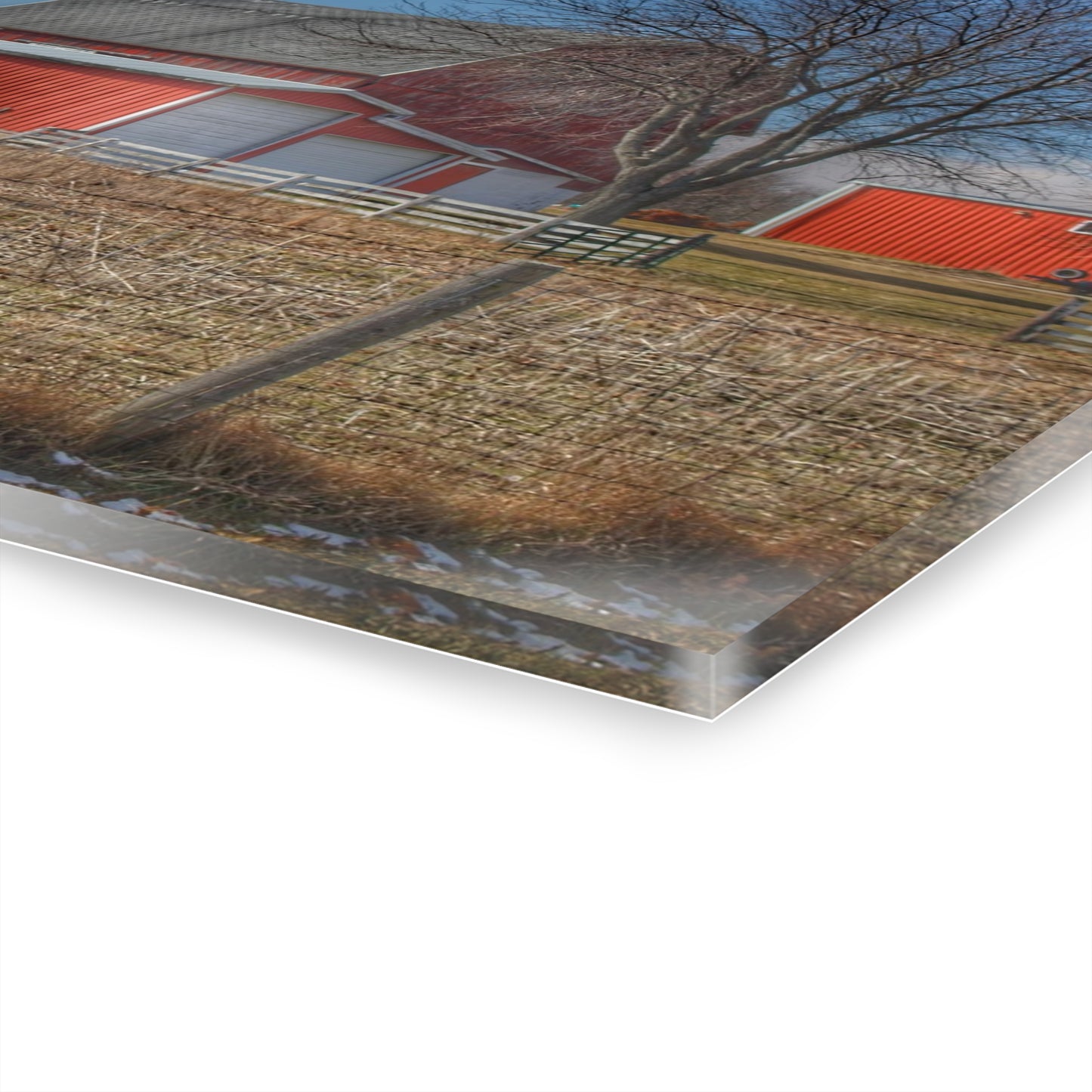 U R There Photography Clifford Road Red II Rustic Farmhouse Acrylic Wall Print